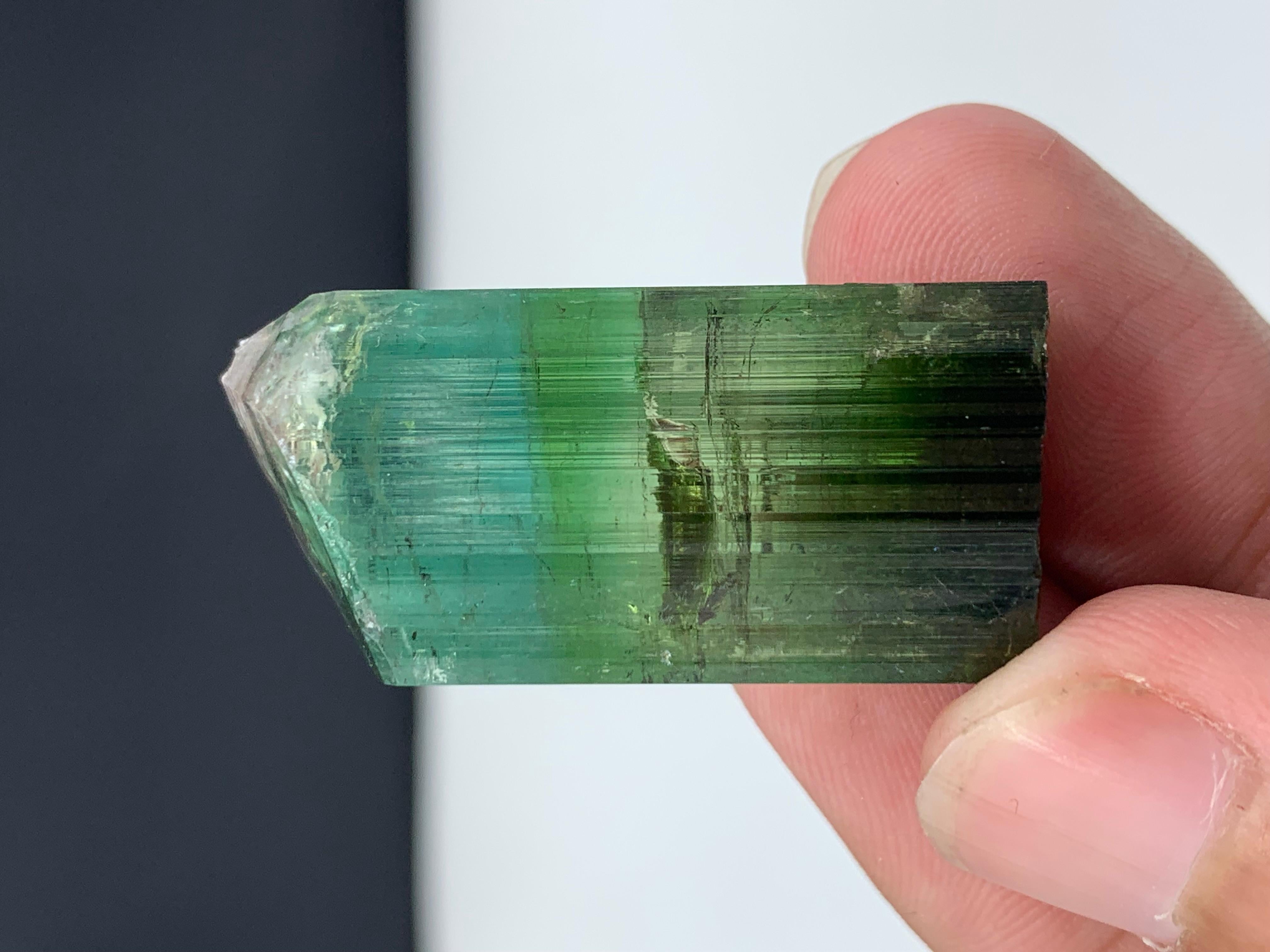 17,40 grammi di grazioso cristallo di tormalina bicolore da Kunar, Afghanistan in vendita 9