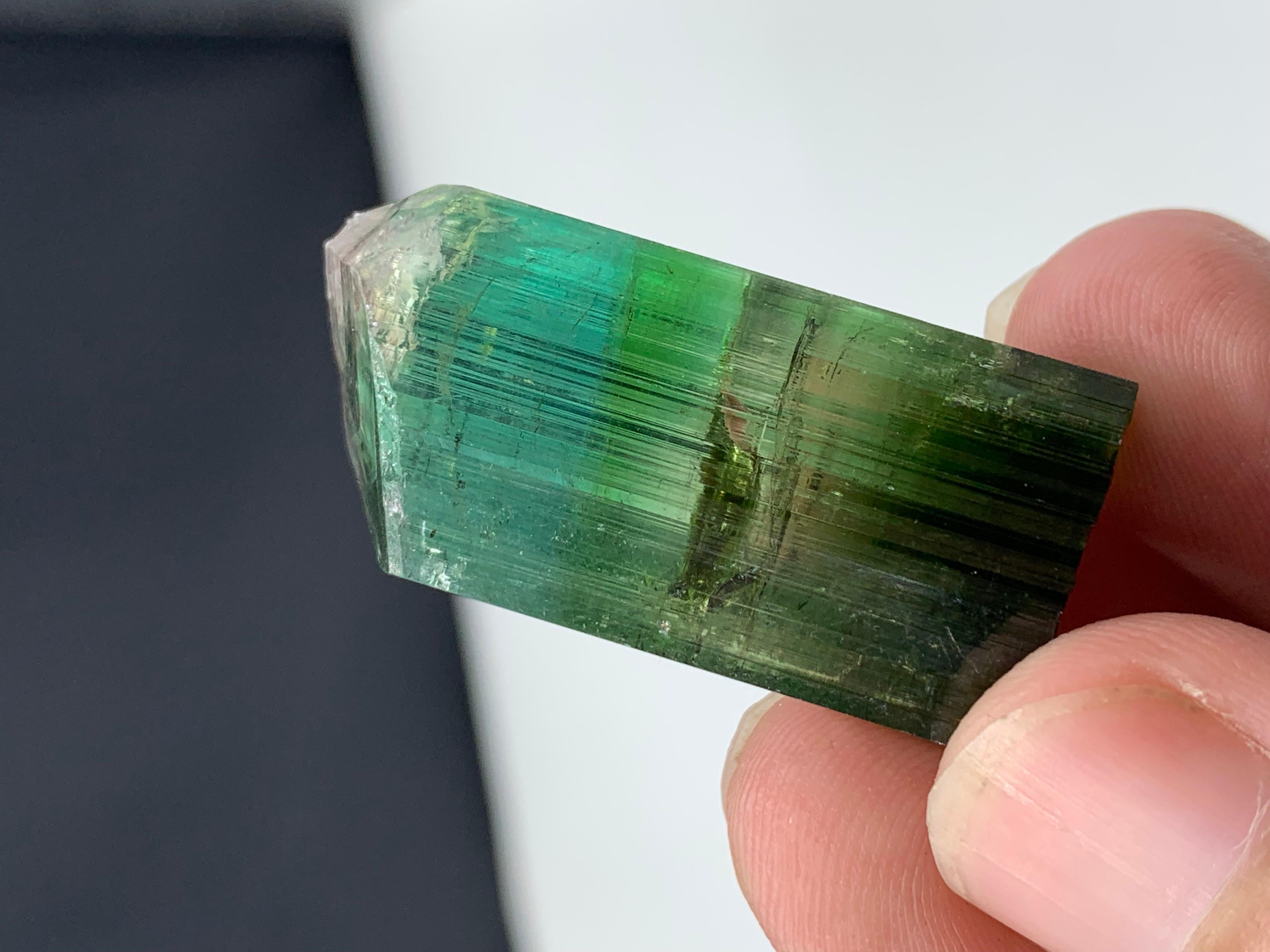 17,40 grammi di grazioso cristallo di tormalina bicolore da Kunar, Afghanistan 

Peso: 17,40 grammi
Dimensioni: 3,7 x 1,8 x 1,4 cm
Origine: Kunar, Afghanistan 
Colore: Seafoam e Greene & Greene 

La tormalina è un minerale cristallino del gruppo dei