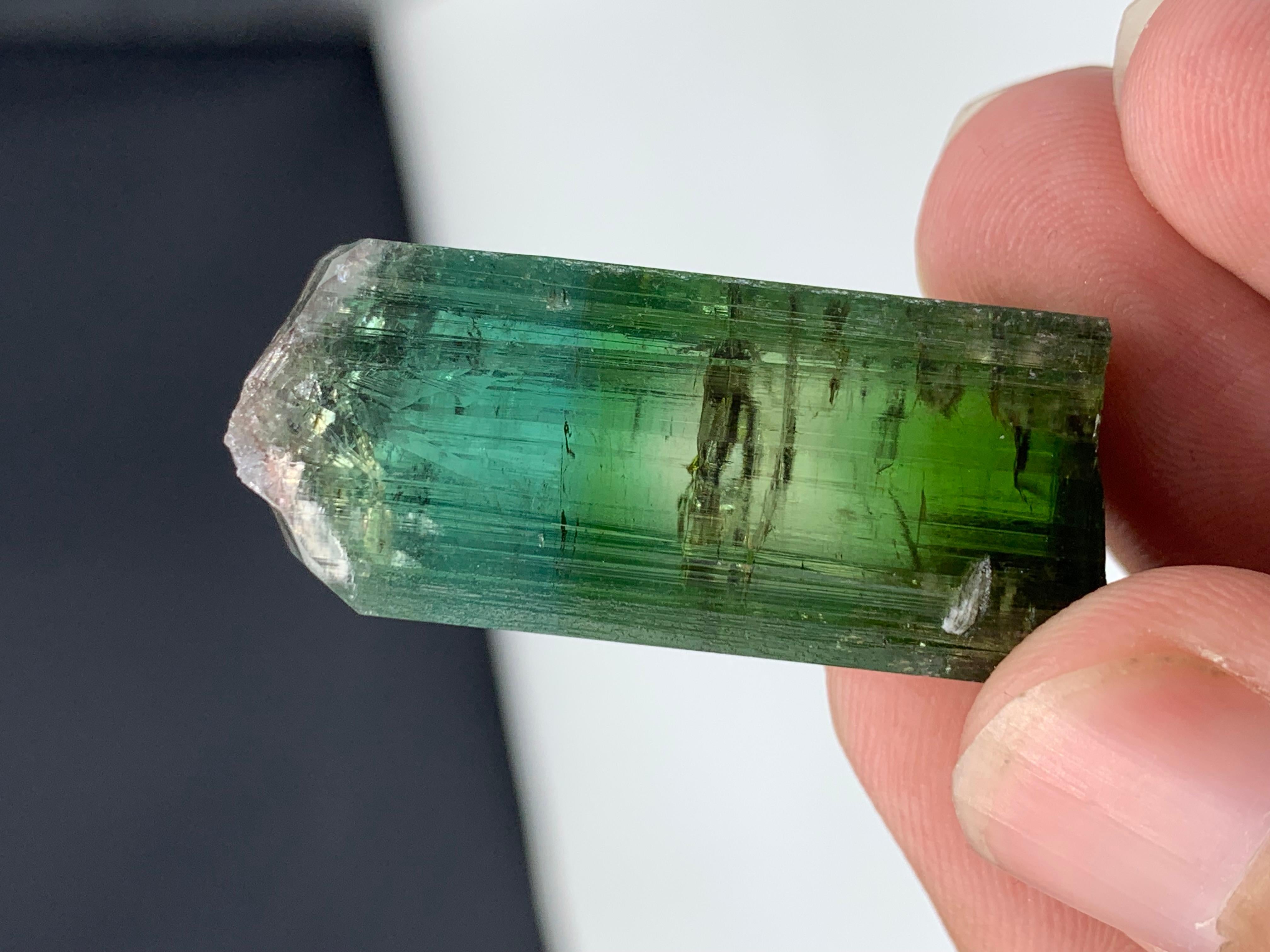 Stile Adam 17,40 grammi di grazioso cristallo di tormalina bicolore da Kunar, Afghanistan in vendita