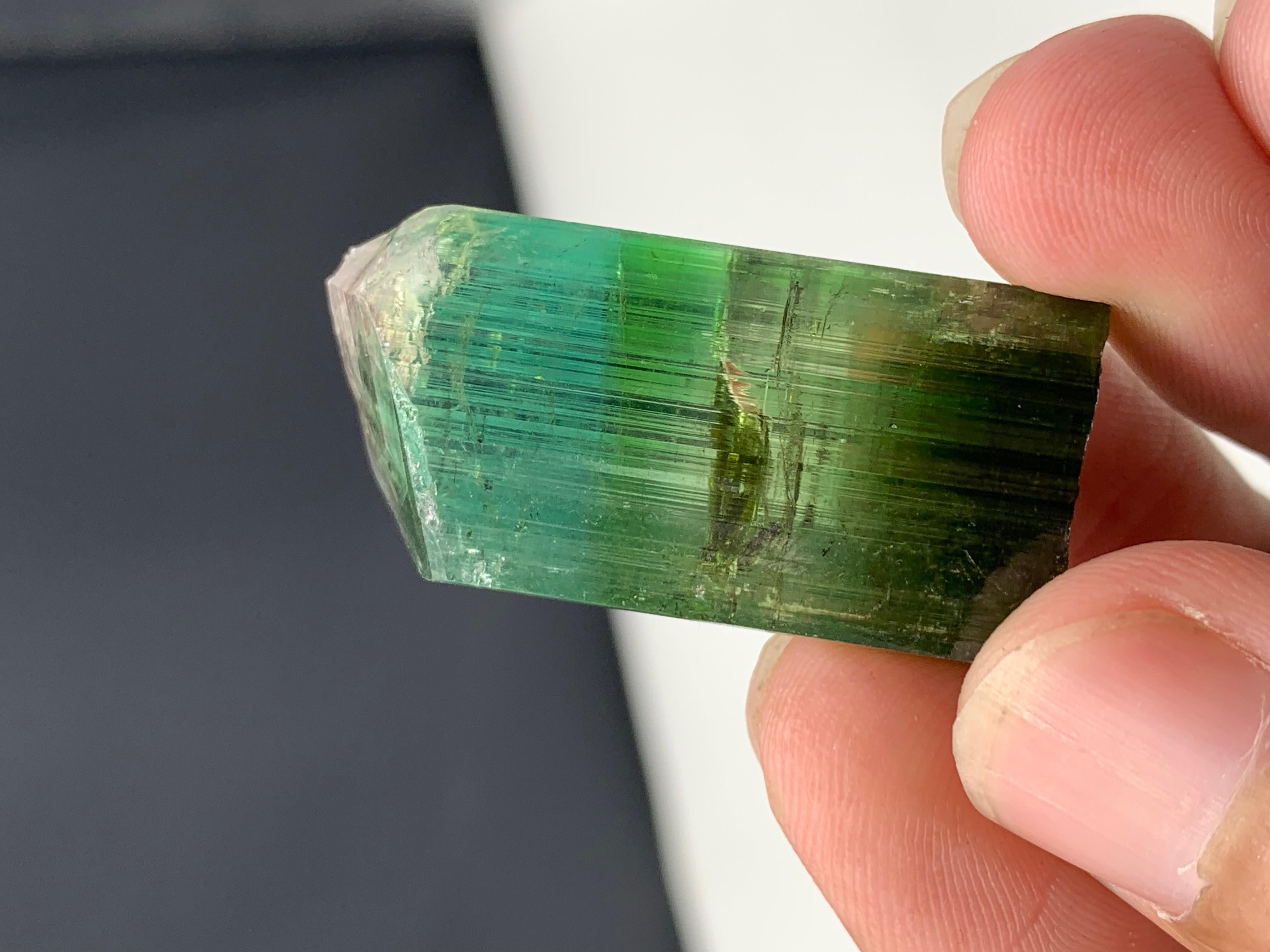 Altro 17,40 grammi di grazioso cristallo di tormalina bicolore da Kunar, Afghanistan in vendita