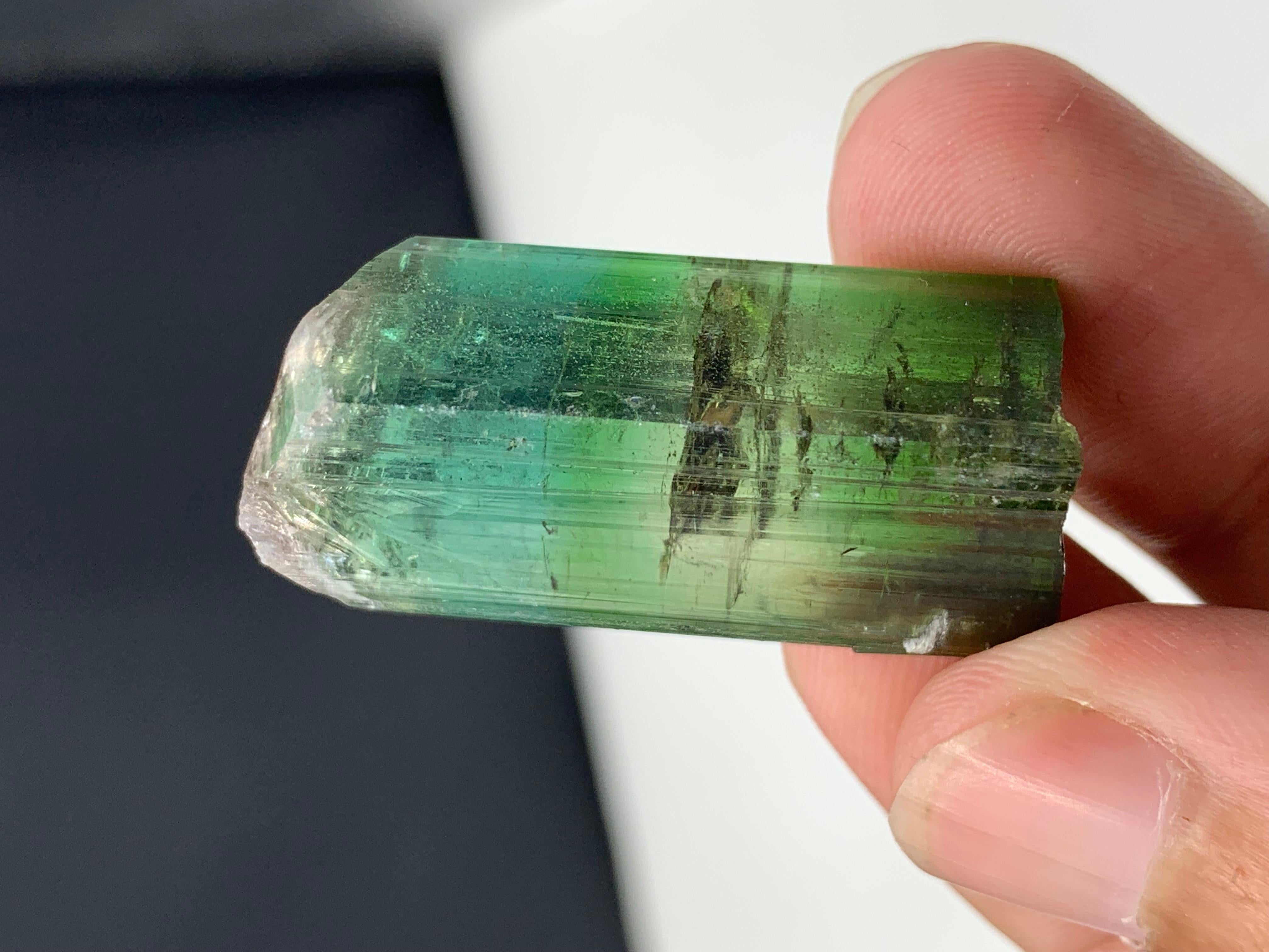 17,40 grammi di grazioso cristallo di tormalina bicolore da Kunar, Afghanistan In condizioni buone in vendita a Peshawar, PK