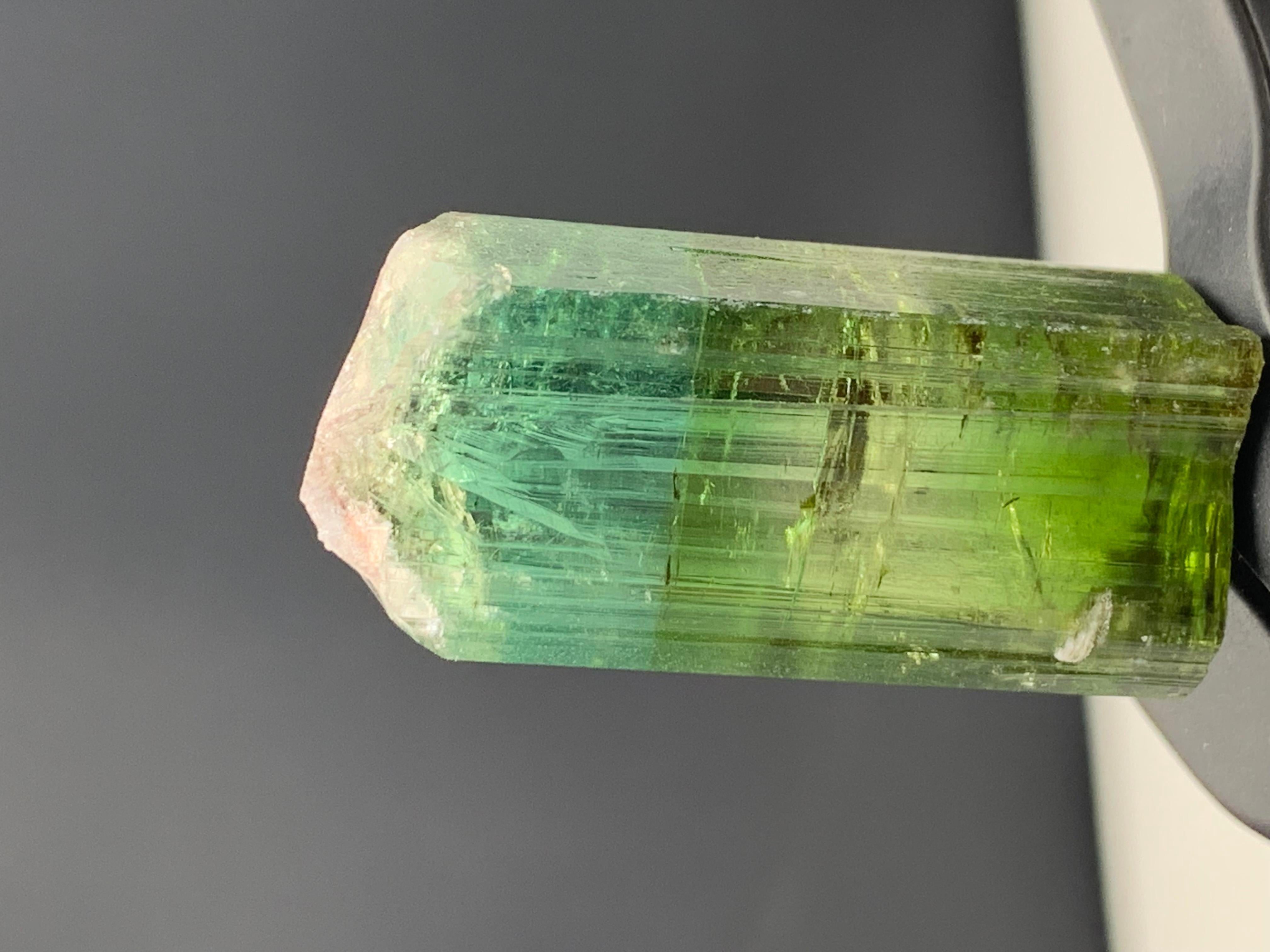 Cristallo di rocca 17,40 grammi di grazioso cristallo di tormalina bicolore da Kunar, Afghanistan in vendita