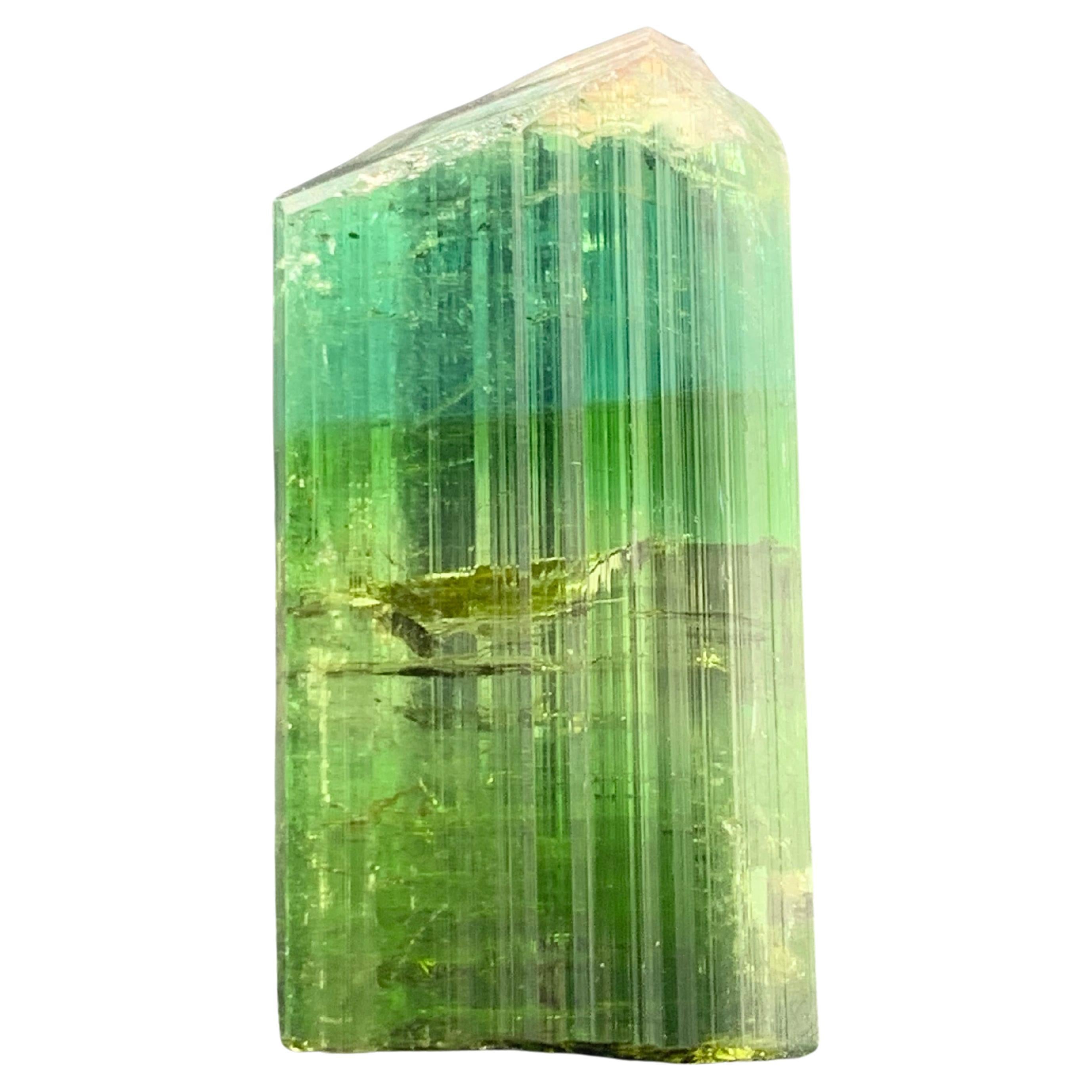 17,40 Gramm Hübscher zweifarbiger Turmalinkristall aus Kunar, Afghanistan 