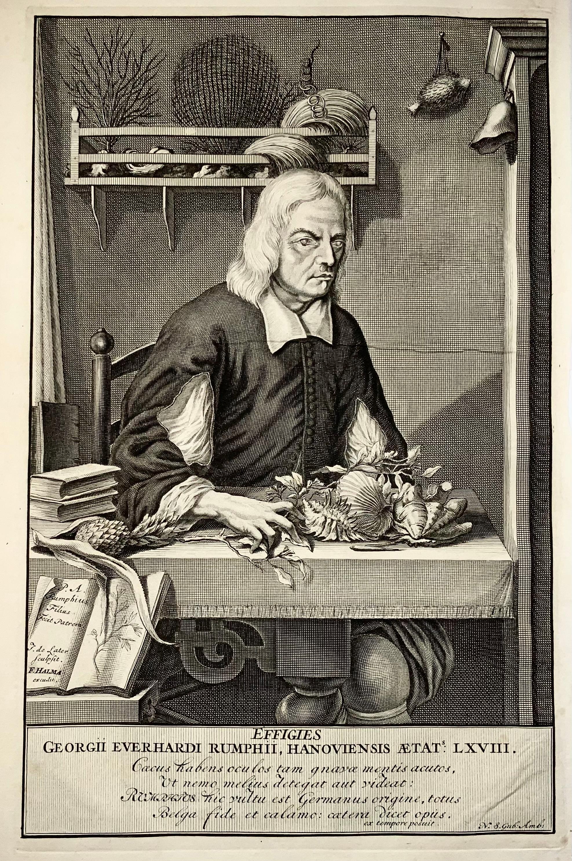 Jacobus de Later

40 x 24.5 cm

Copper engraving

Printed by Francois Halma

Georg Eberhard Rumphius (1627-1702) was a German botanist employed by the Dutch East India Company. He spent much of the second half of the 17th century in Ambon,