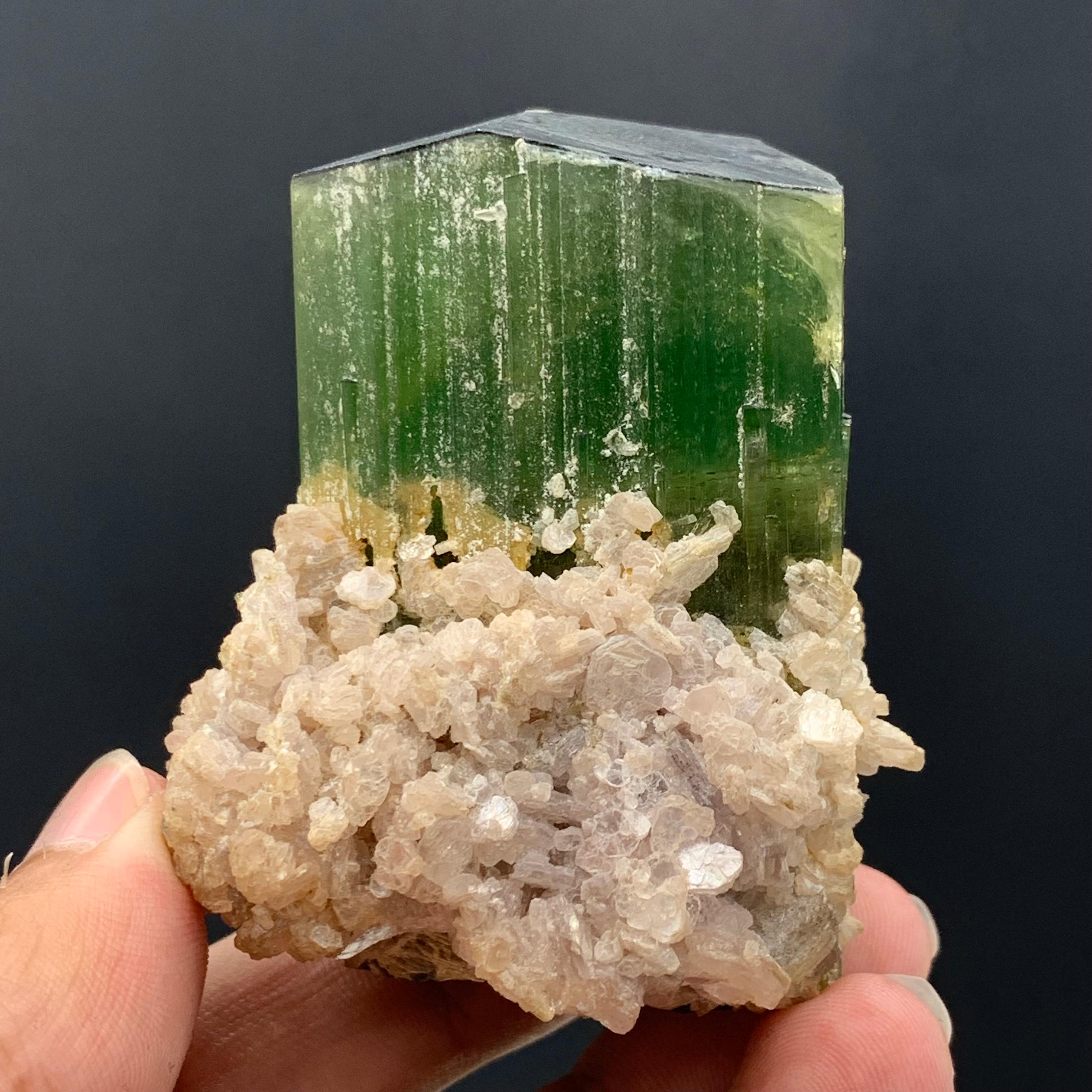 174.58 Gram Incredible Green Tourmaline Specimen From Paprok, Afghanistan  For Sale 3
