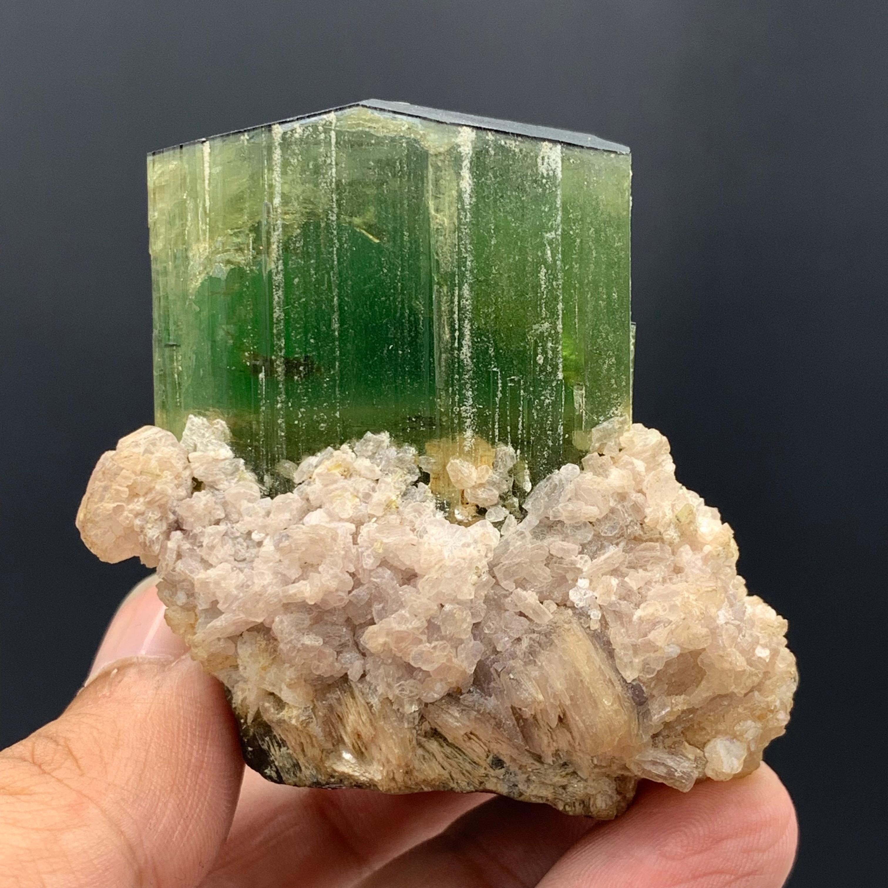 174.58 Gram Incredible Green Tourmaline Specimen From Paprok, Afghanistan  For Sale 4