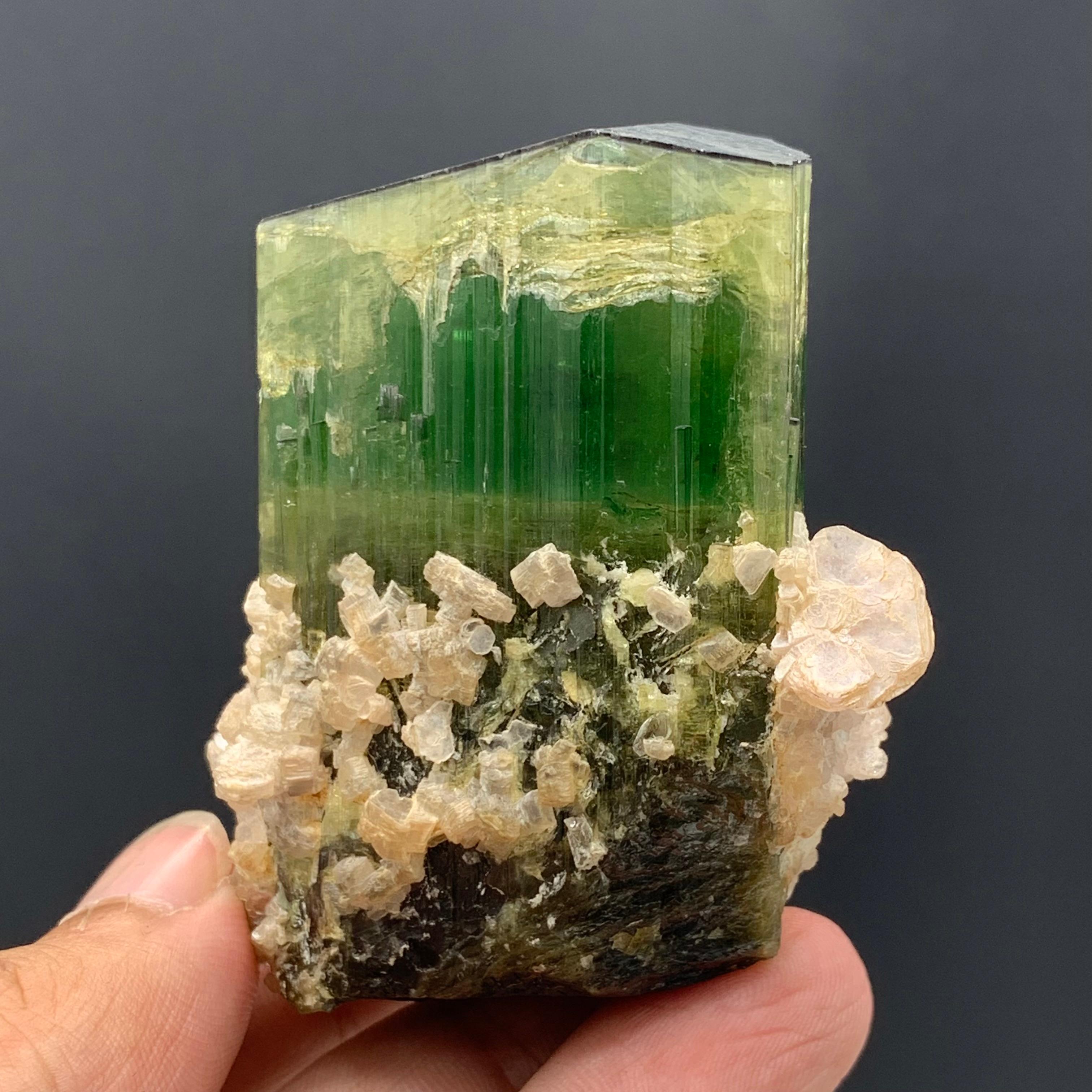 174.58 Gram Incredible Green Tourmaline Specimen From Paprok, Afghanistan  For Sale 5