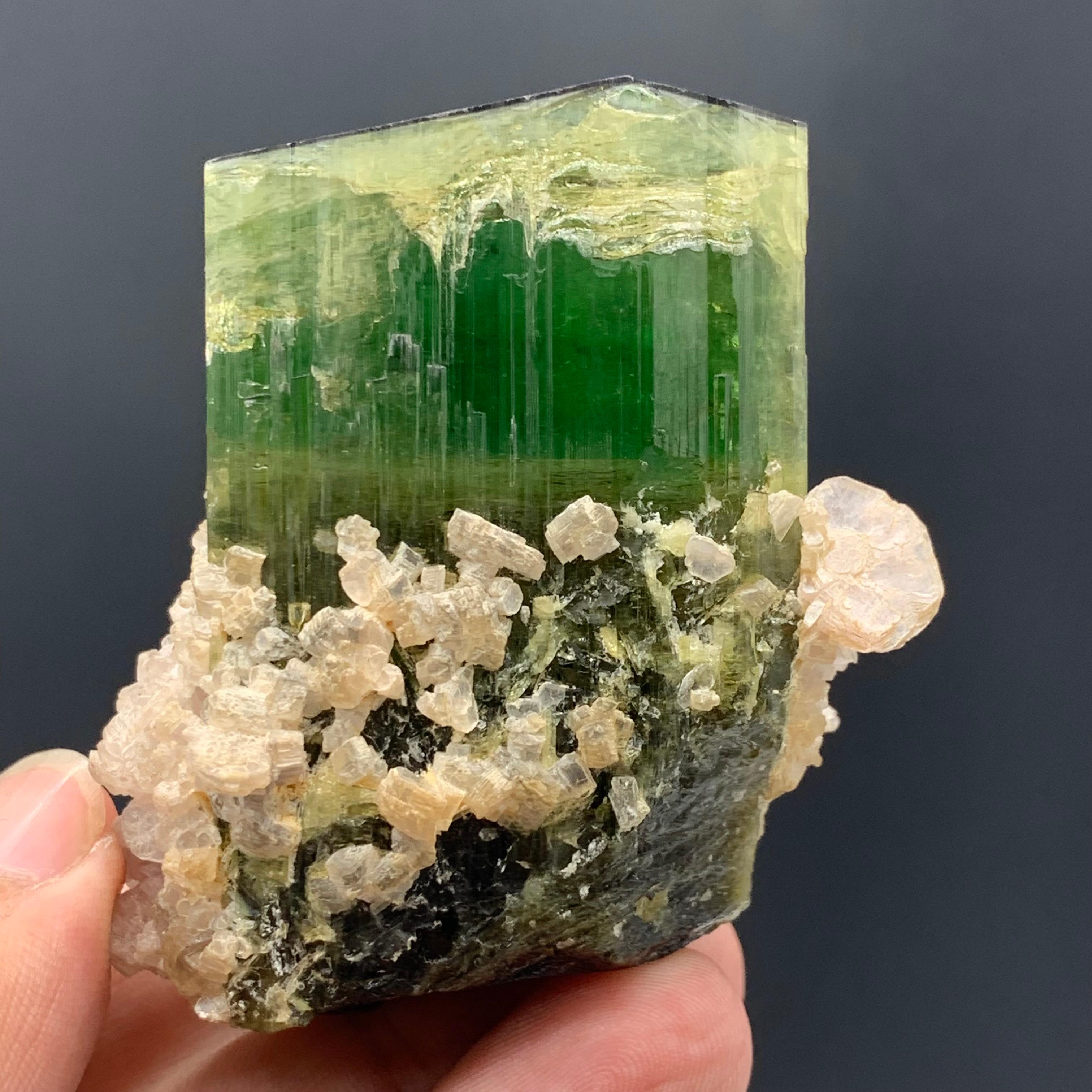 174.58 Gram Incredible Green Tourmaline Specimen From Paprok, Afghanistan  For Sale 6