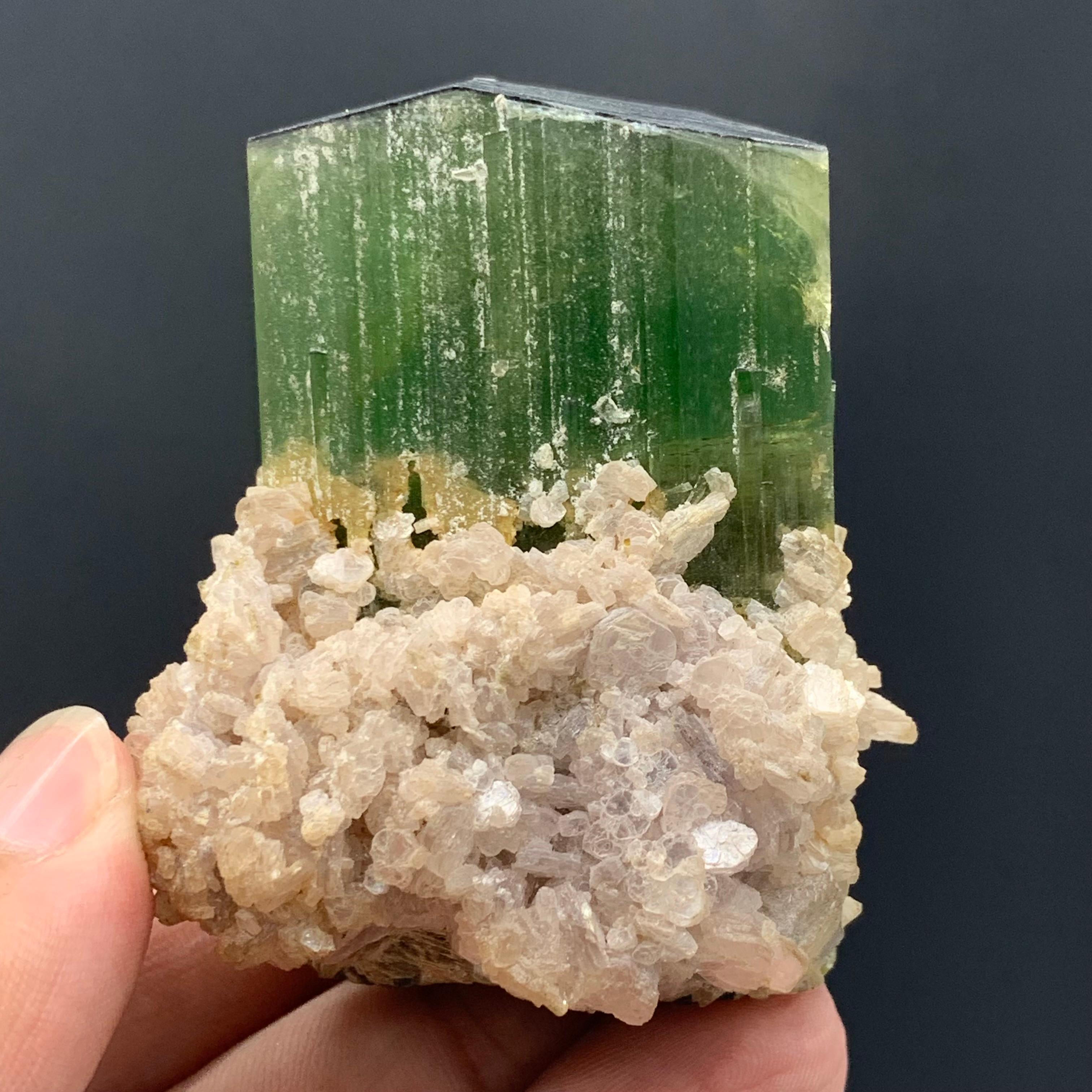 174.58 Gram Incredible Green Tourmaline Specimen From Paprok, Afghanistan  For Sale 7