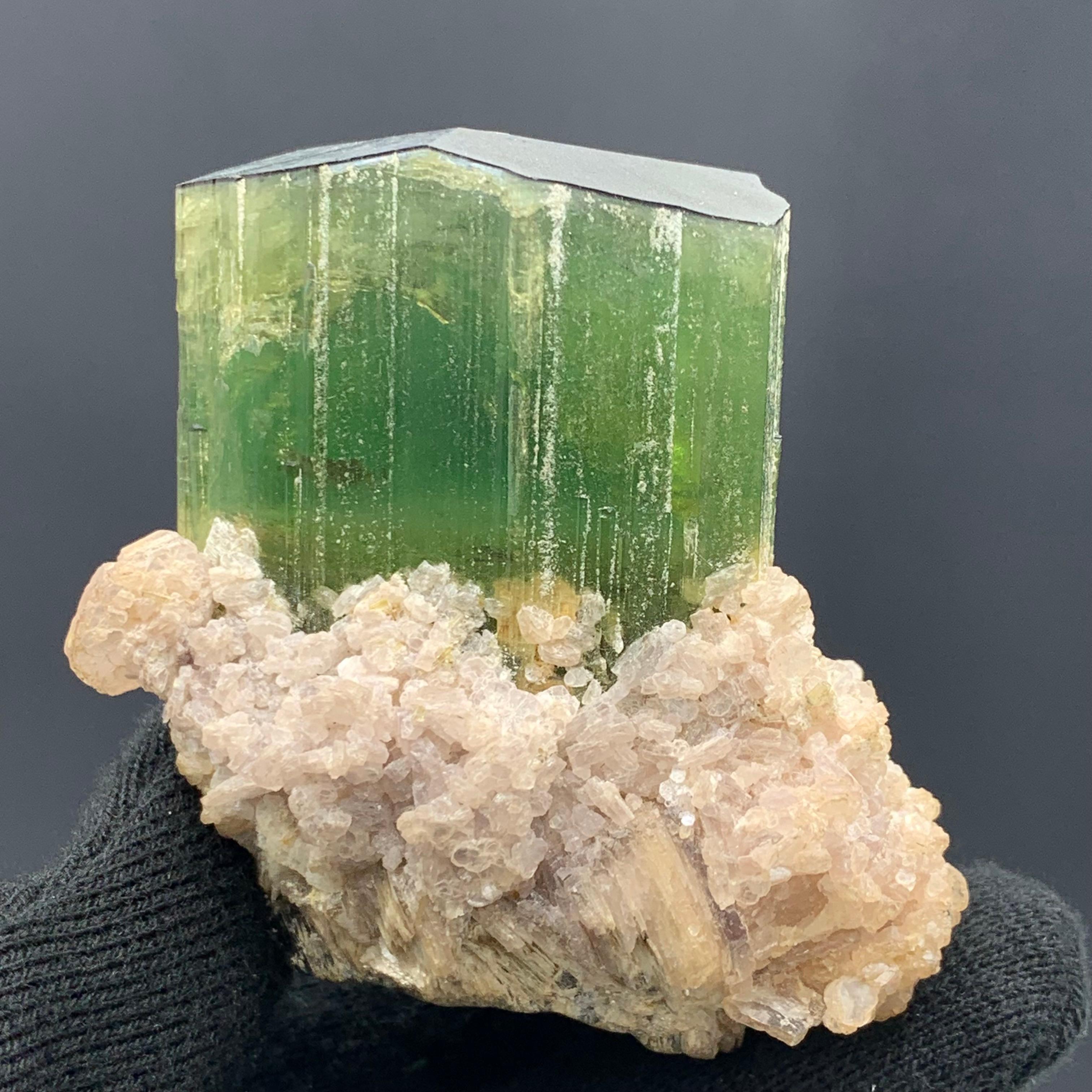 18th Century and Earlier 174.58 Gram Incredible Green Tourmaline Specimen From Paprok, Afghanistan  For Sale