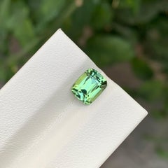 1.75 Carat Natural Loose Mint Green Tourmaline Cushion Shape Gem