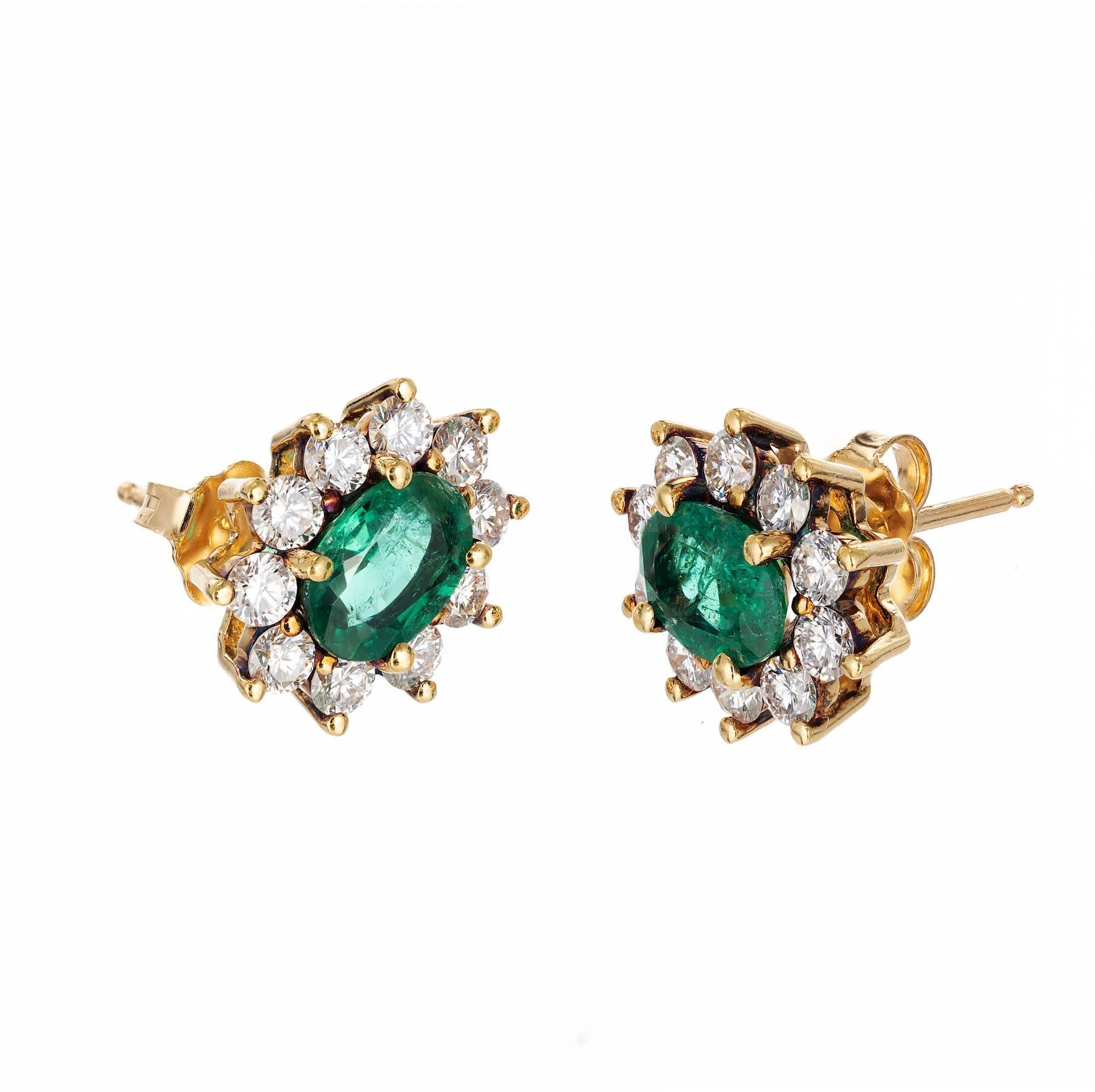 Genuine bright green Colombian oval emerald and diamond halo stud earrings.  18k yellow gold classic pierced earrings with F, VS well cut diamonds. Emeralds are very clear with slight inclusions.

2 oval emeralds approx. total weight 1.75cts.
20