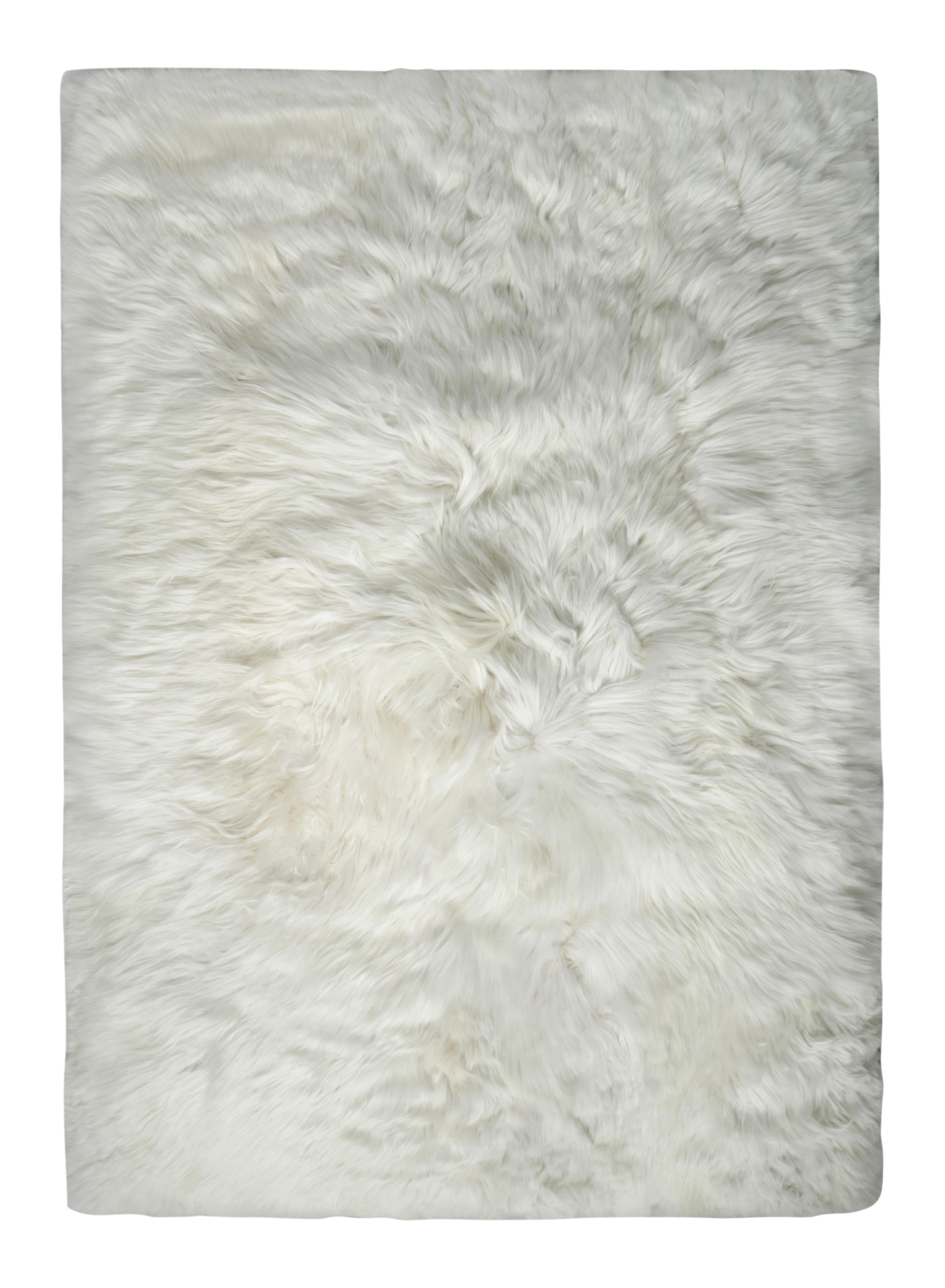 Indiano 17556 - Campione di tappeto personalizzato Rug & Kilim in vendita