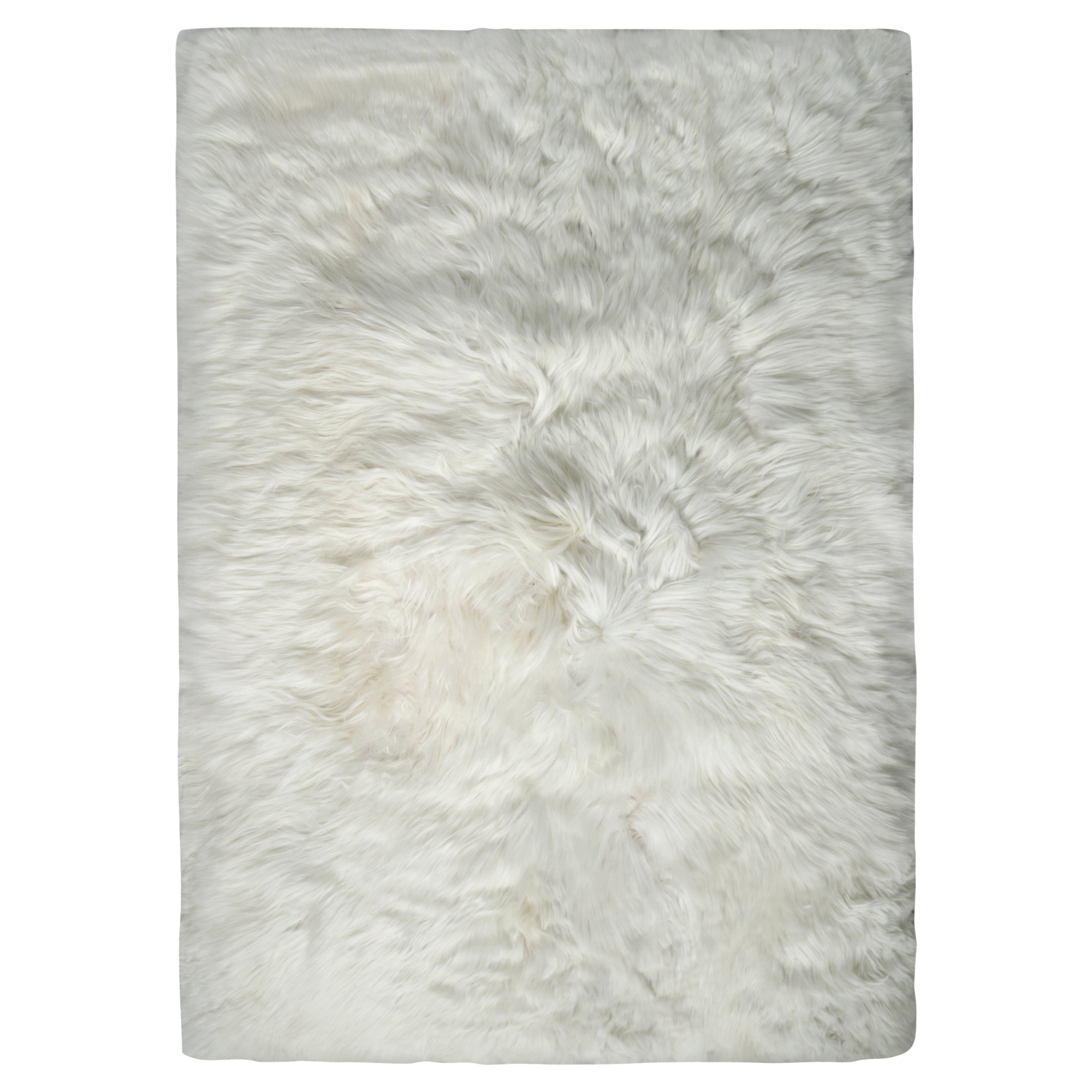 17556 - Campione di tappeto personalizzato Rug & Kilim