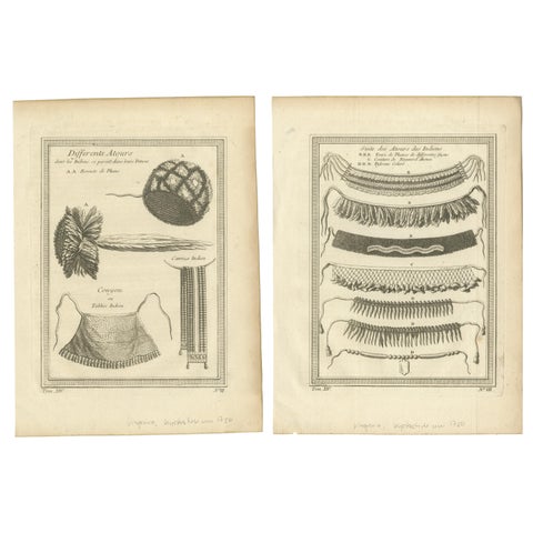 1757 Native American Tribal Adornments, Feathered Headdresses, Belts & Jewelry