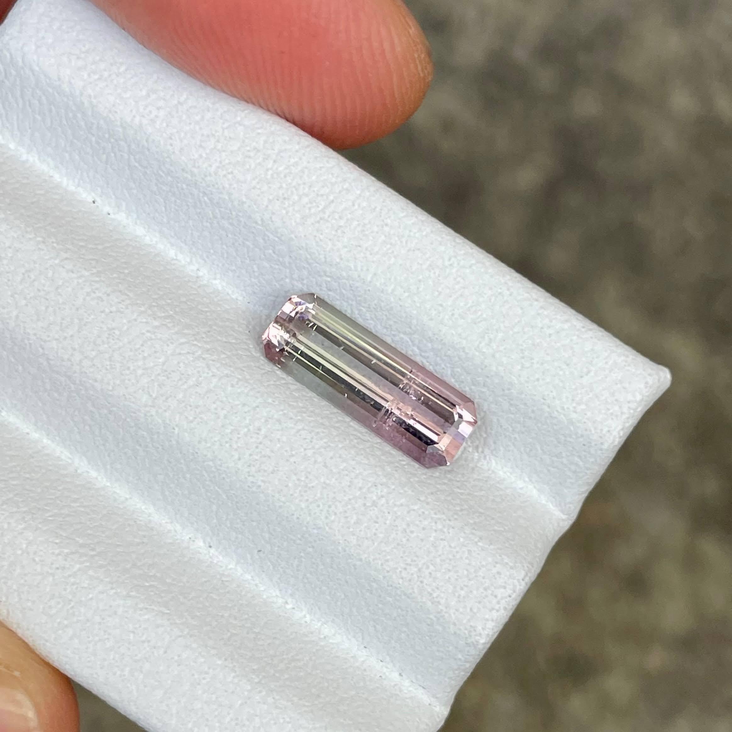 Poids 1,76 carats 
Dimensions 12,8x4,7x3,2 mm
Traitement aucun 
Origine Afrique 
Clarity SI 
Forme octogonale 
Taille émeraude



Cette étonnante tourmaline bicolore de 1.76 carats est une pierre précieuse rare et exquise, présentant un mélange