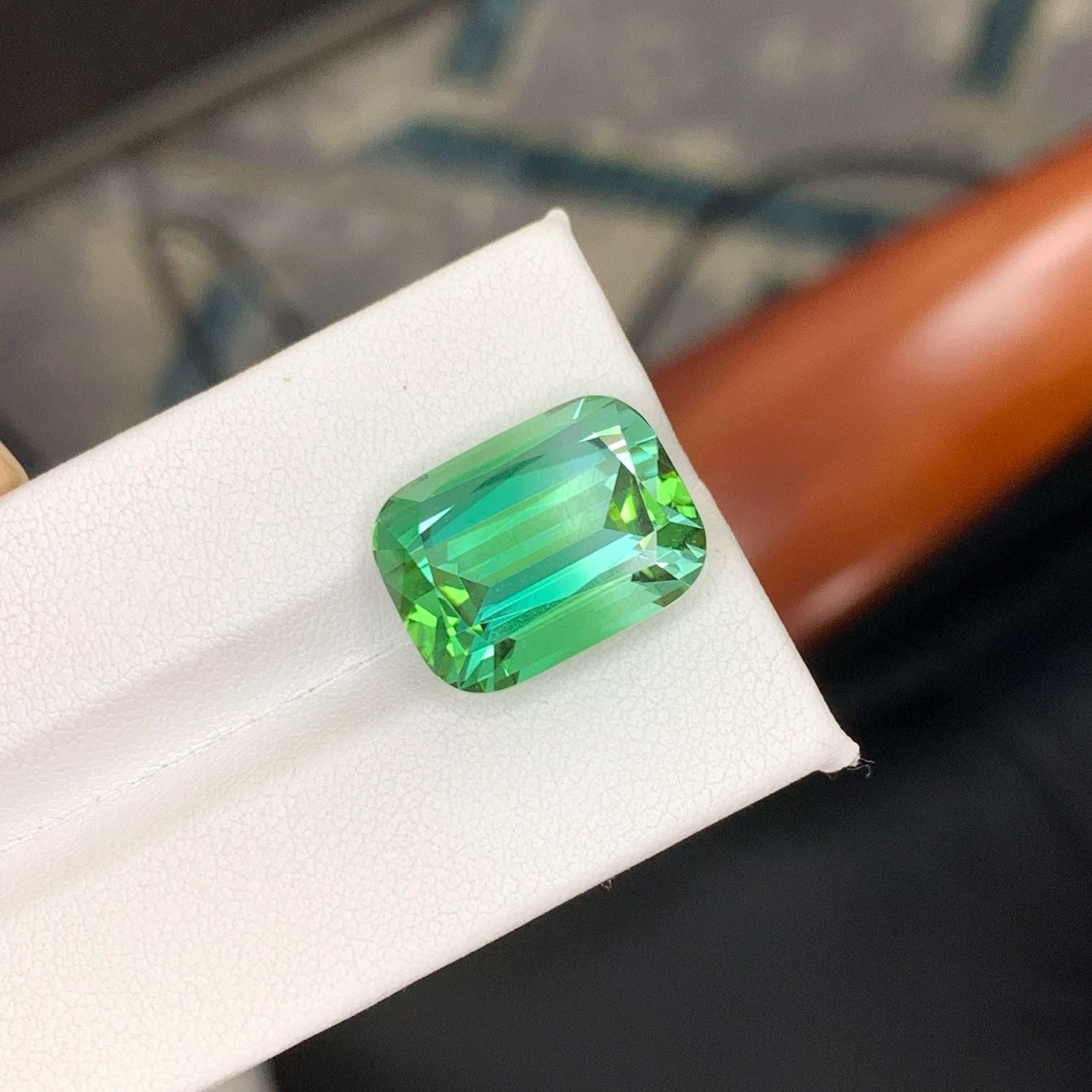 17.60 Carat Natural Loose Lagoon Green Tourmaline Cushion Cut Afghan Gemstone (pierre précieuse afghane) en vente 4