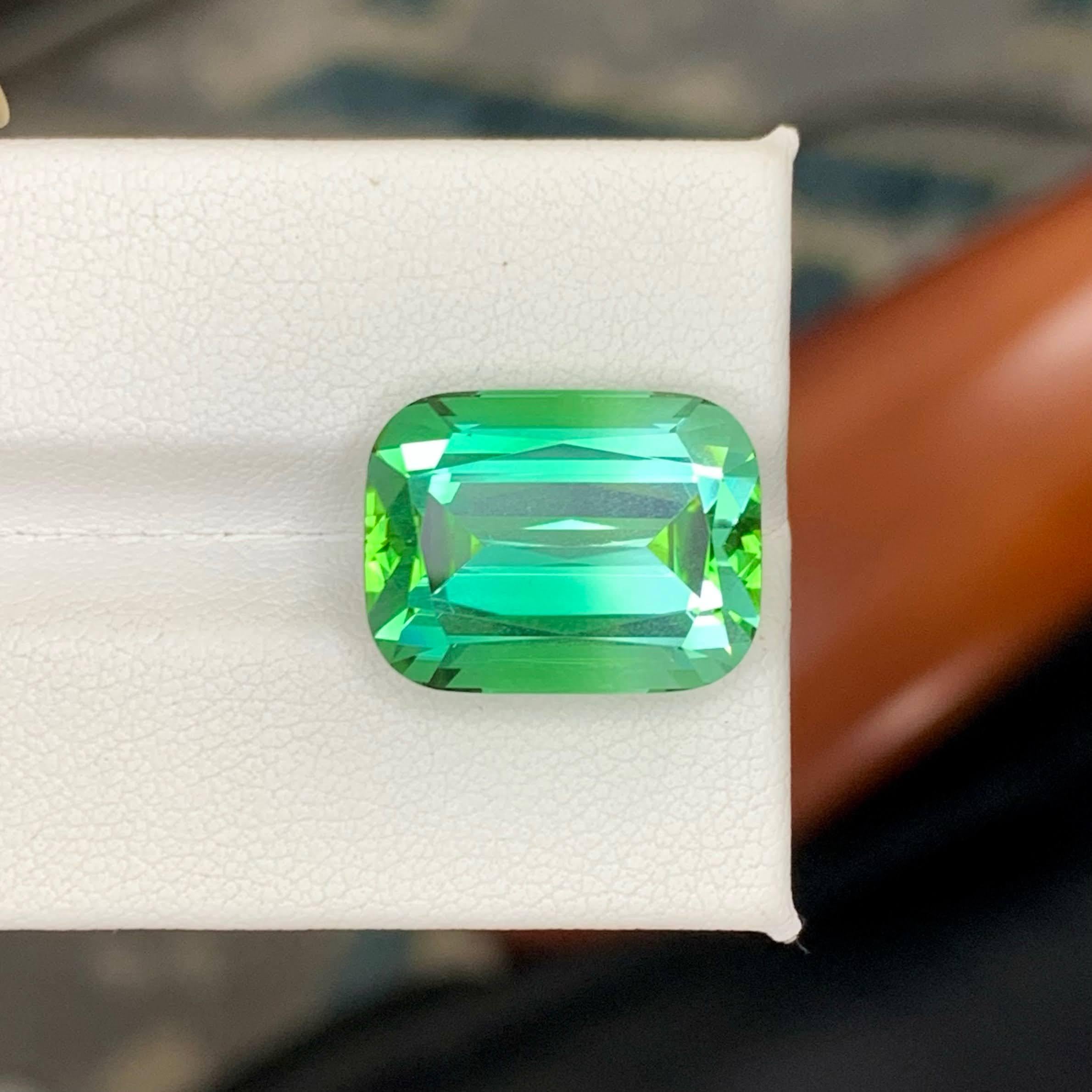 Poids 17,60 carats
Dimensions 16.4x12.6x10.2mm
Traitement Aucun
Origine afghane 
Clarity Eye Clean 
Forme Coupe Coussin 




Cette tourmaline verte lagon de 17,60 carats, en vrac et naturelle, rayonne d'un mélange enchanteur de tons bleus et verts,