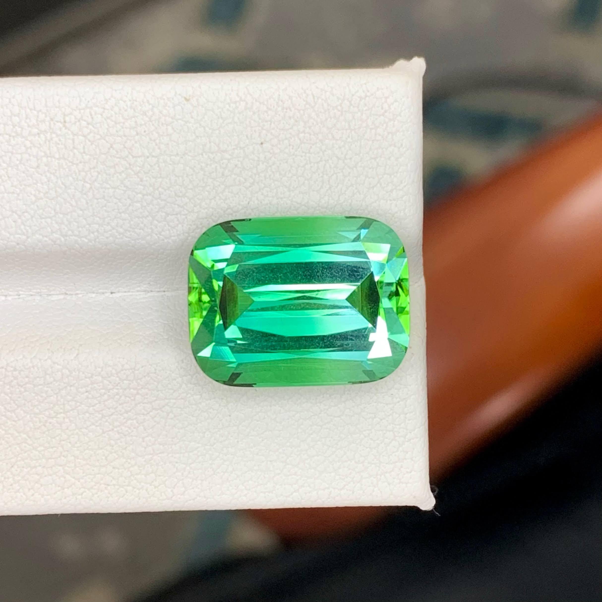 Moderne 17.60 Carat Natural Loose Lagoon Green Tourmaline Cushion Cut Afghan Gemstone (pierre précieuse afghane) en vente