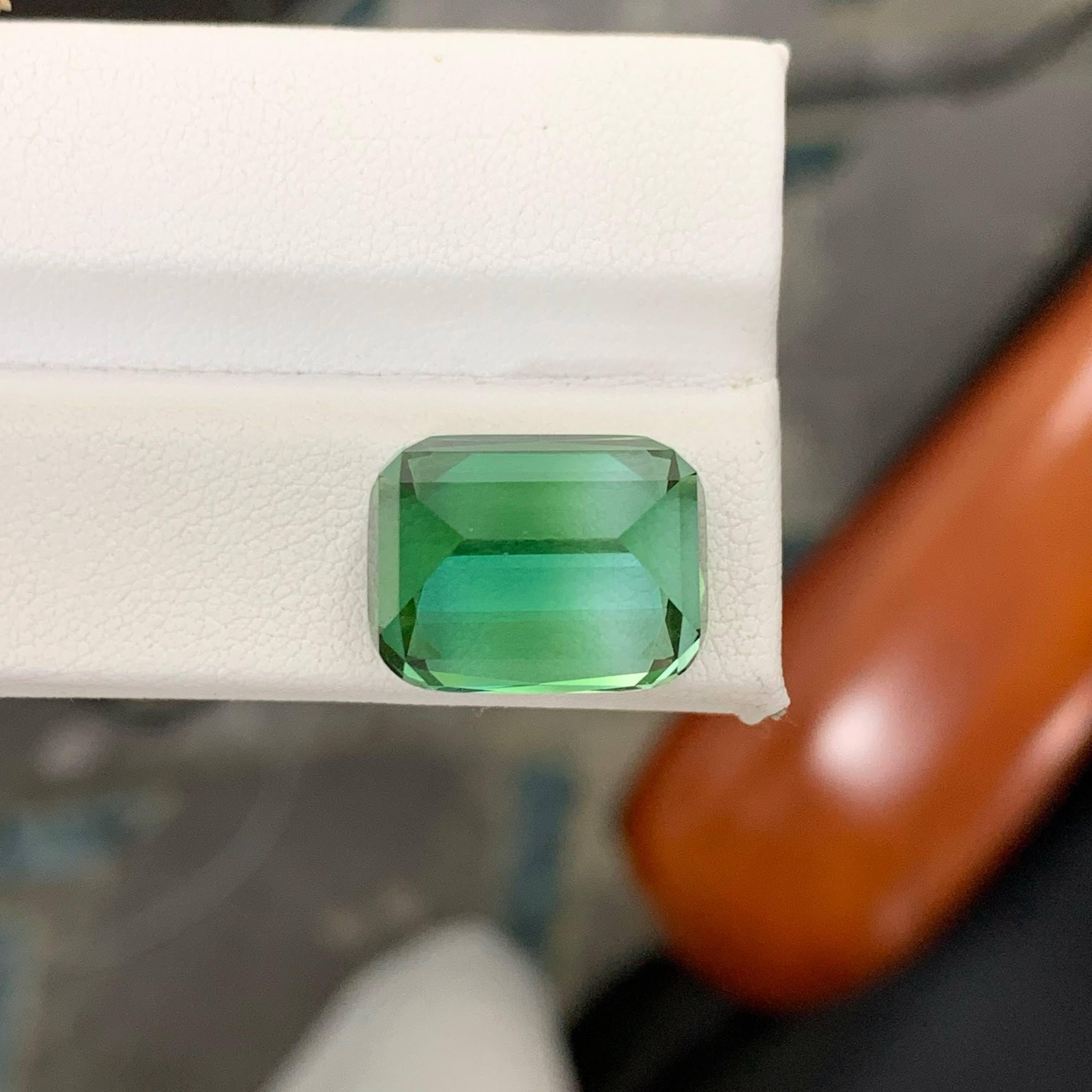 17.60 Carat Natural Loose Lagoon Green Tourmaline Cushion Cut Afghan Gemstone (pierre précieuse afghane) Neuf - En vente à Bangkok, TH