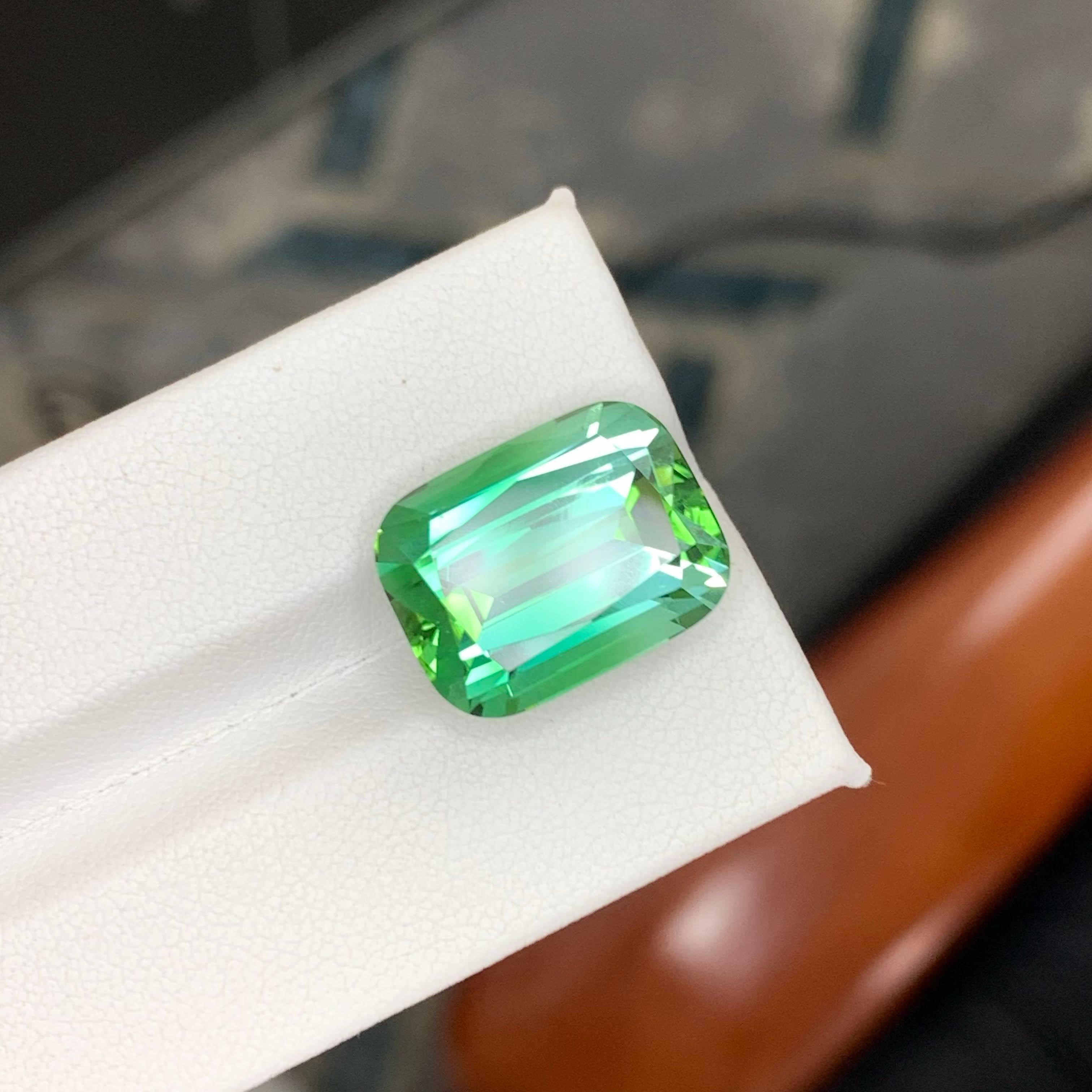 17.60 Carat Natural Loose Lagoon Green Tourmaline Cushion Cut Afghan Gemstone (pierre précieuse afghane) en vente 1