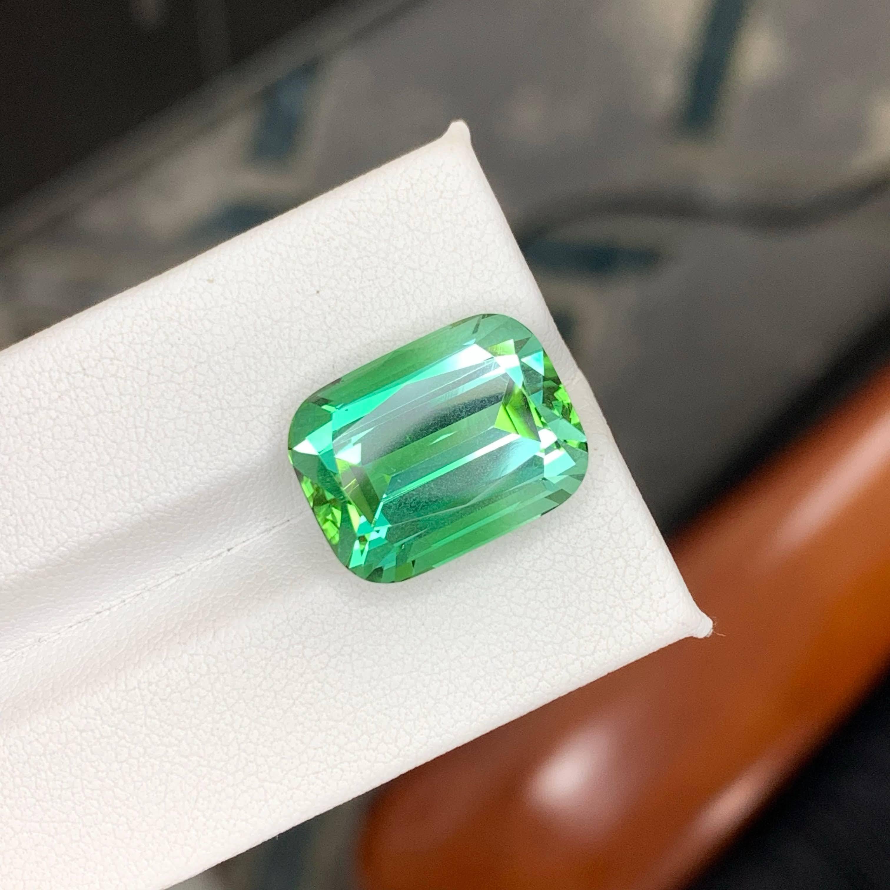 17.60 Carat Natural Loose Lagoon Green Tourmaline Cushion Cut Afghan Gemstone (pierre précieuse afghane) en vente 2