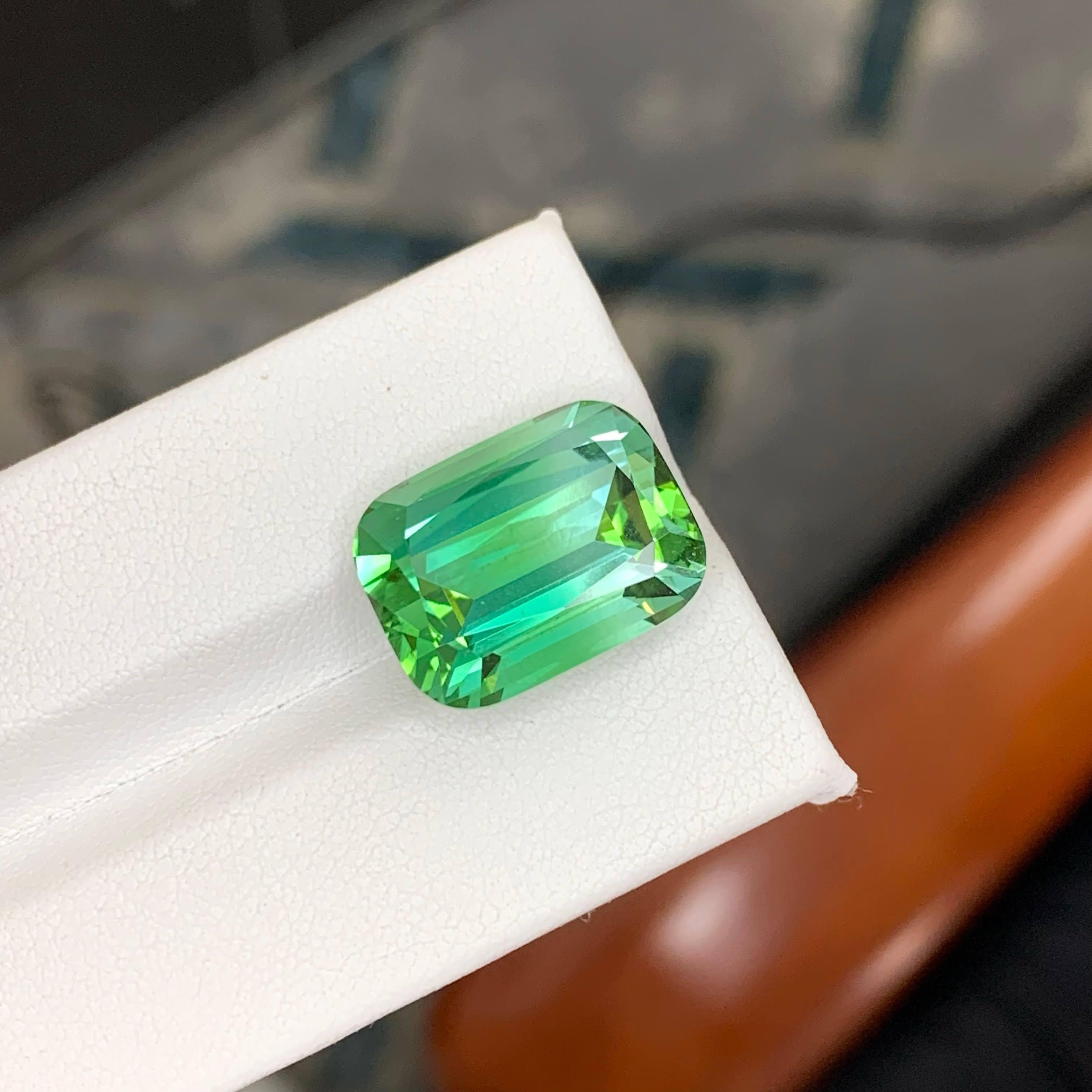 17.60 Carat Natural Loose Lagoon Green Tourmaline Cushion Cut Afghan Gemstone (pierre précieuse afghane) en vente 3