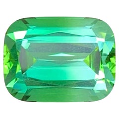 17.60 Carat Natural Loose Lagoon Green Tourmaline Cushion Cut Afghan Gemstone (pierre précieuse afghane)