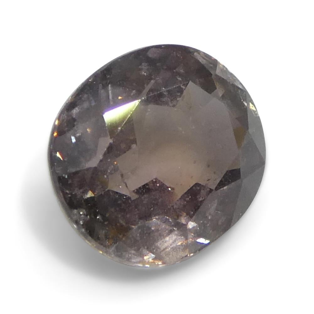 1,76ct Ovaler gräulich-rosa Saphir aus Tansania im Angebot 6