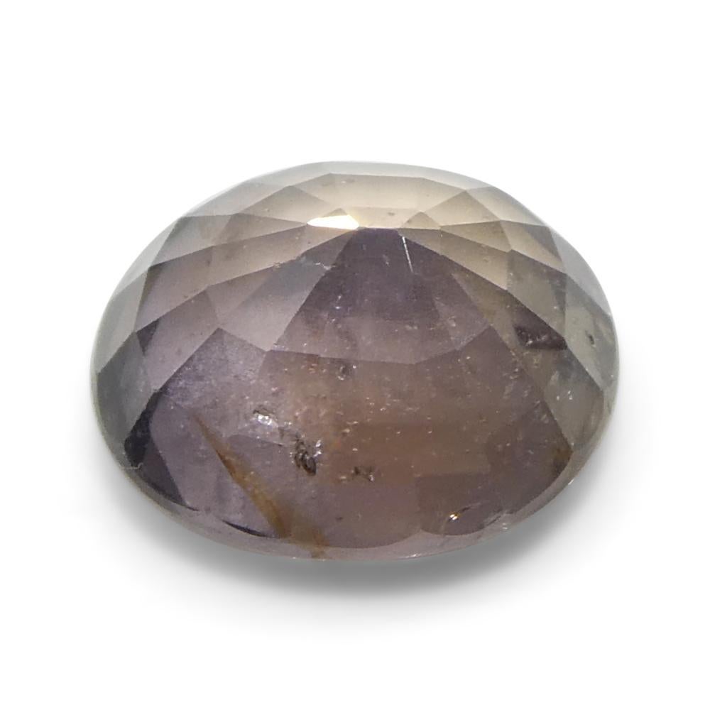 1,76ct Ovaler gräulich-rosa Saphir aus Tansania im Angebot 7