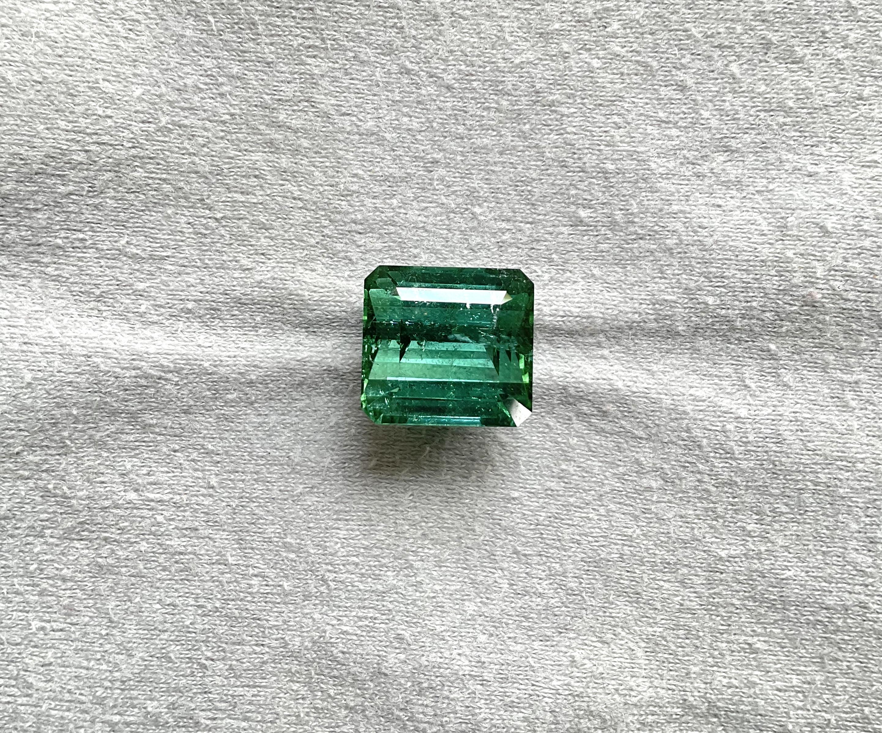 17.71 carat bluish green Tourmaline octogonale Faceted cuts tone Top Quality Natural

Pierre précieuse - Tourmaline
Poids - 17,71 carats
Forme - Octogone
Taille - 14x13x10.5 MM
Pièces - 1