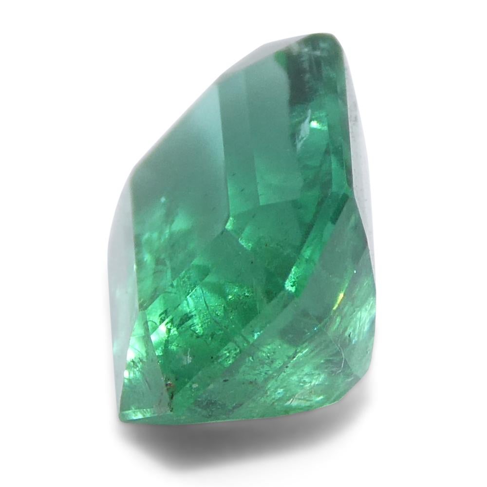 1.77ct Octagonal/Emerald Cut Green Emerald from Zambia (Émeraude verte de Zambie) en vente 2
