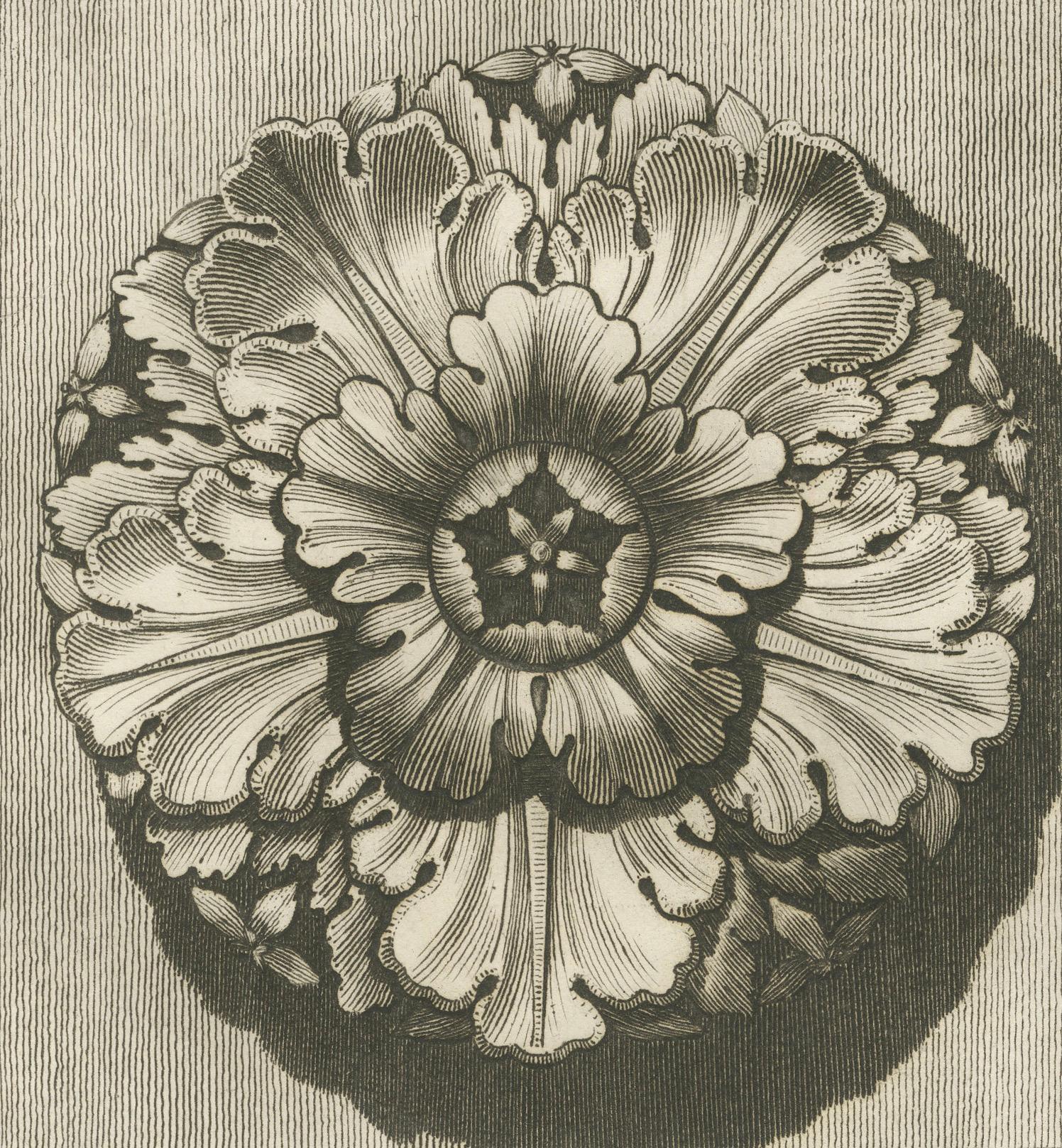1780s Villa Albani-inspired Rosette Engraving In Good Condition For Sale In Langweer, NL