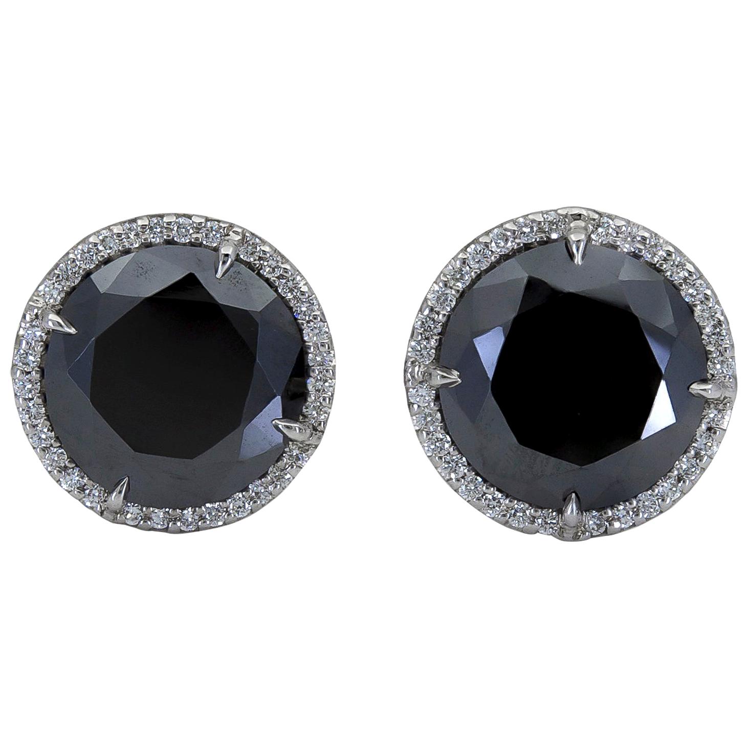17.88 Carat Round Black Diamond Halo Stud Earrings For Sale