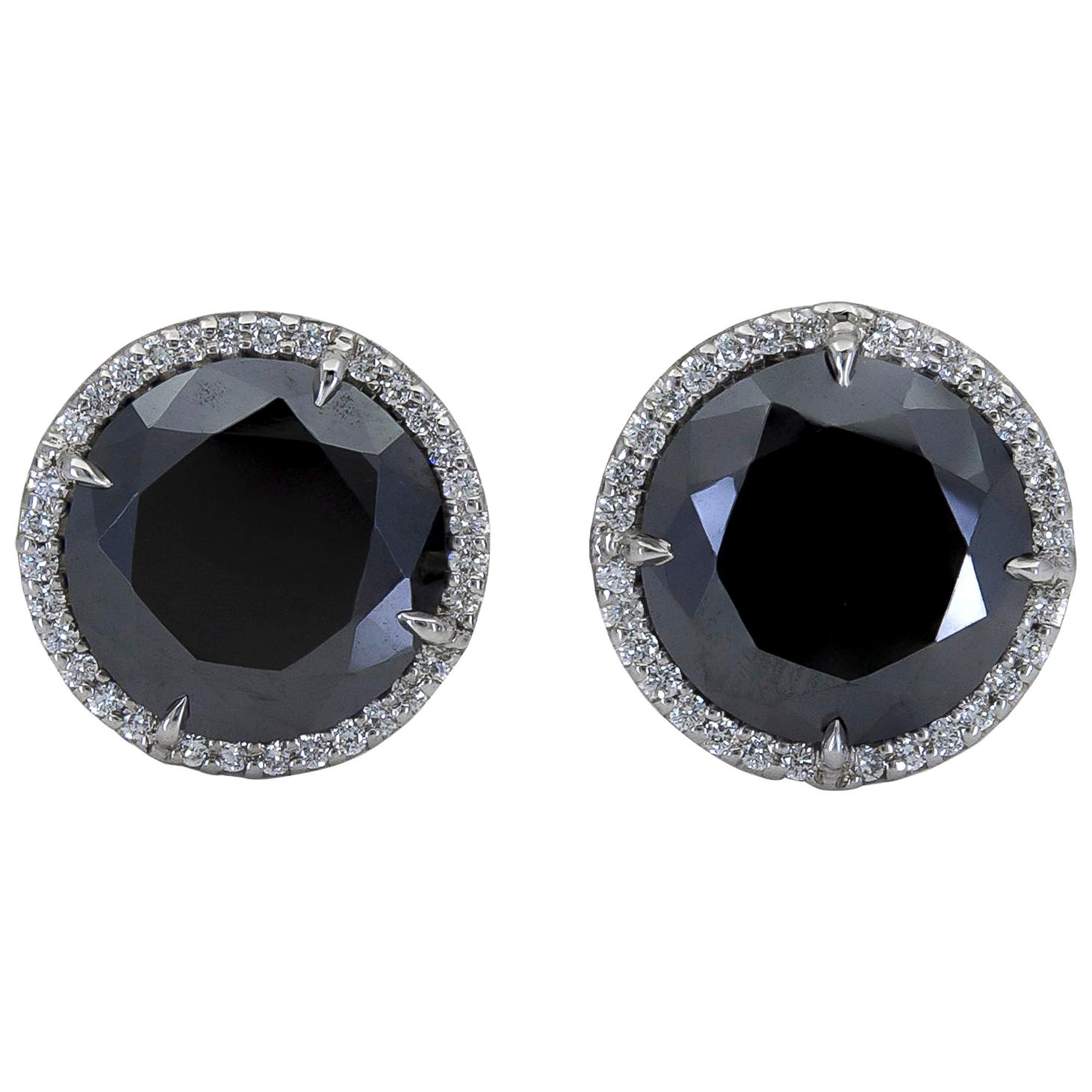 17.88 Carat Round Black Diamond Halo Stud Earrings