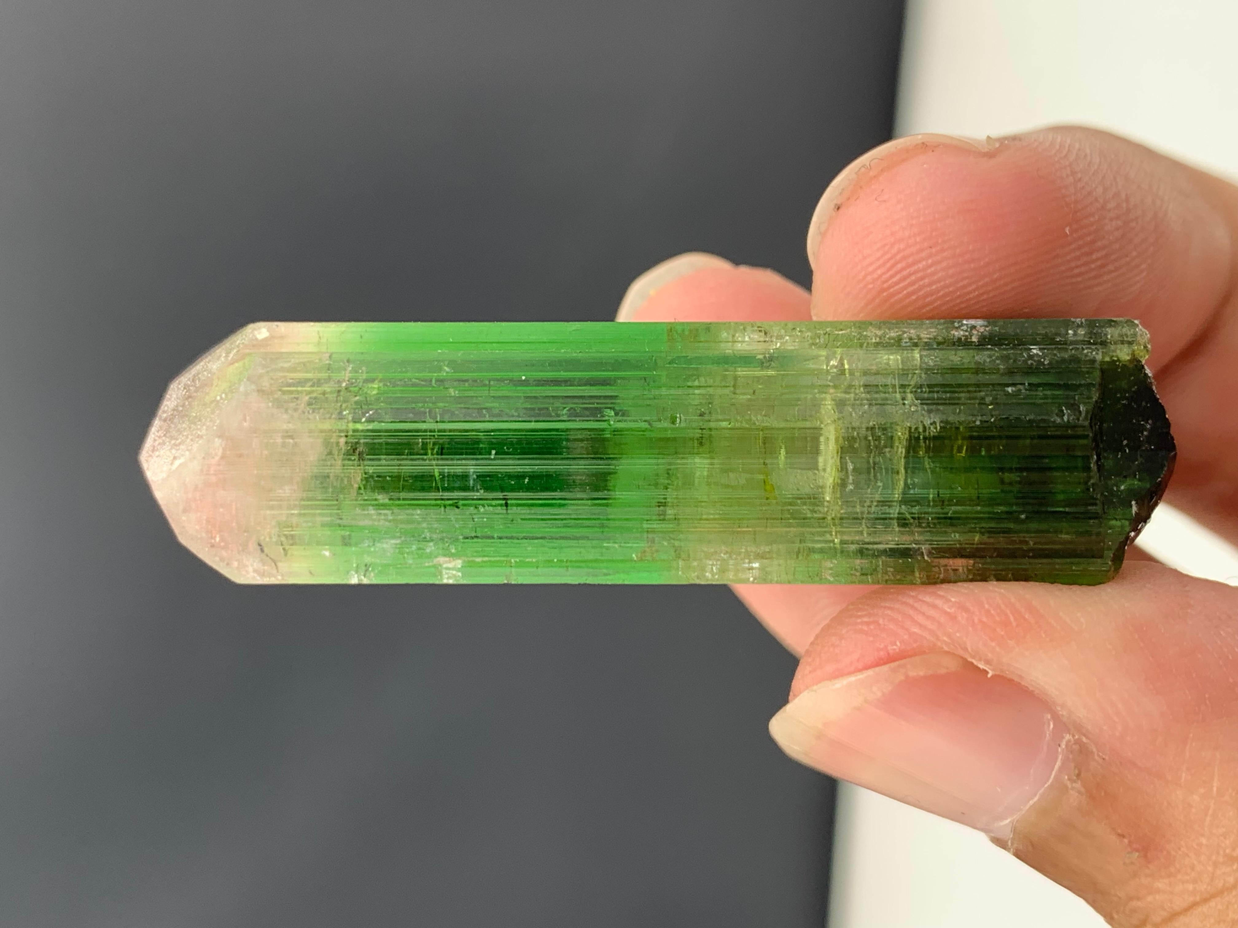 17.92 Gram Incredible Bi Color Tourmaline Crystal From Paprok , Afghanistan  For Sale 3