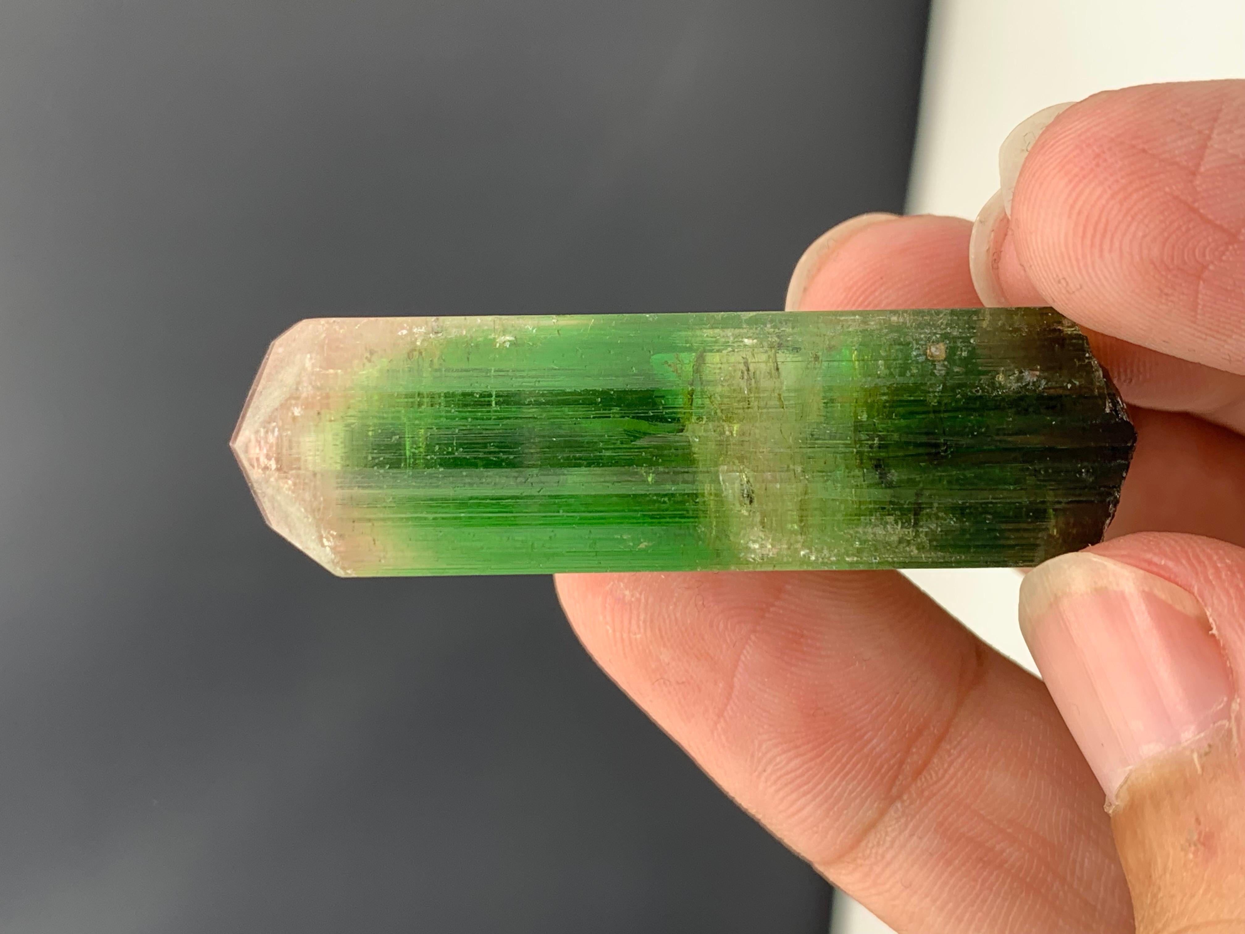 17.92 Gram Incredible Bi Color Tourmaline Crystal From Paprok , Afghanistan  For Sale 4