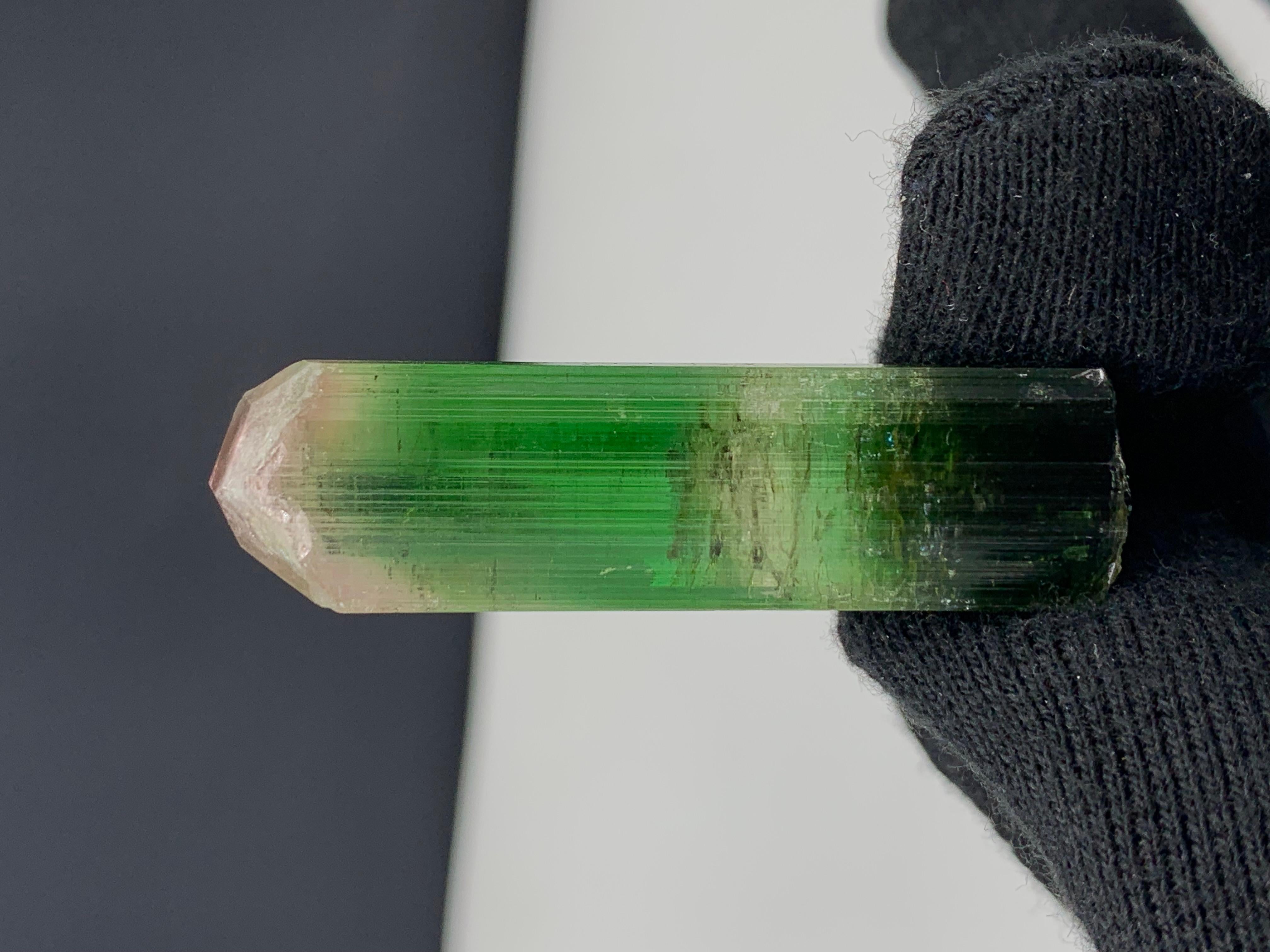17.92 Gram Incredible Bi Color Tourmaline Crystal From Paprok , Afghanistan 

Weight: 17.92 Gram
Dimension: 5 x 1.4 x 1.2 Cm
Origin: Paprok, Nooristan Province, Afghanistan 

Tourmaline is a crystalline silicate mineral group in which boron is