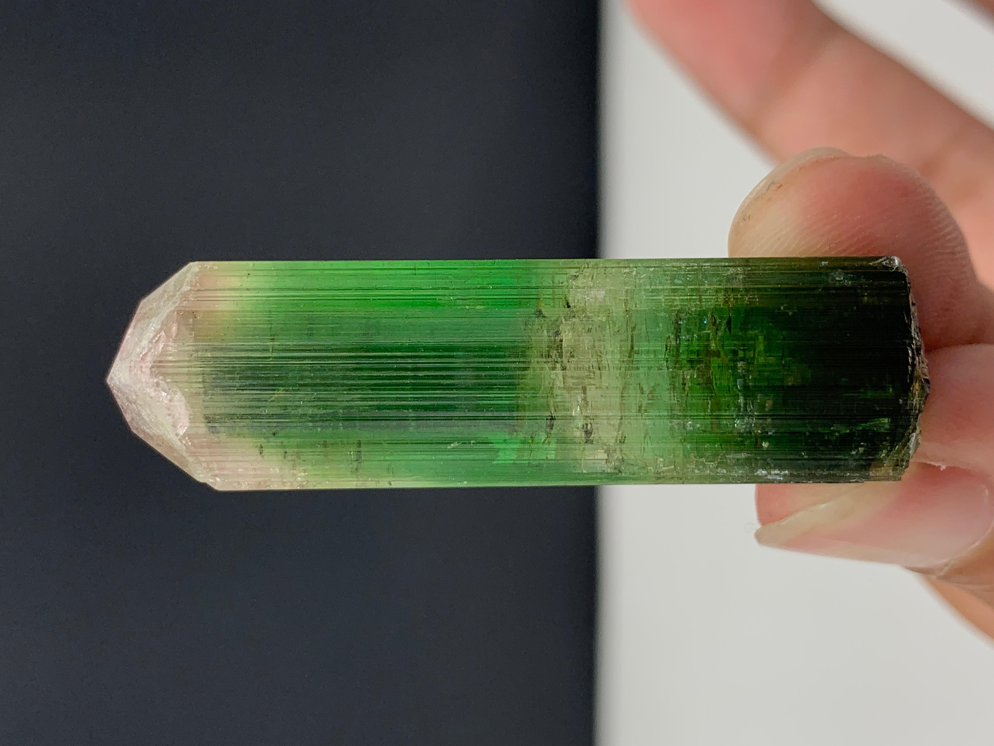 Adam Style 17.92 Gram Incredible Bi Color Tourmaline Crystal From Paprok , Afghanistan  For Sale