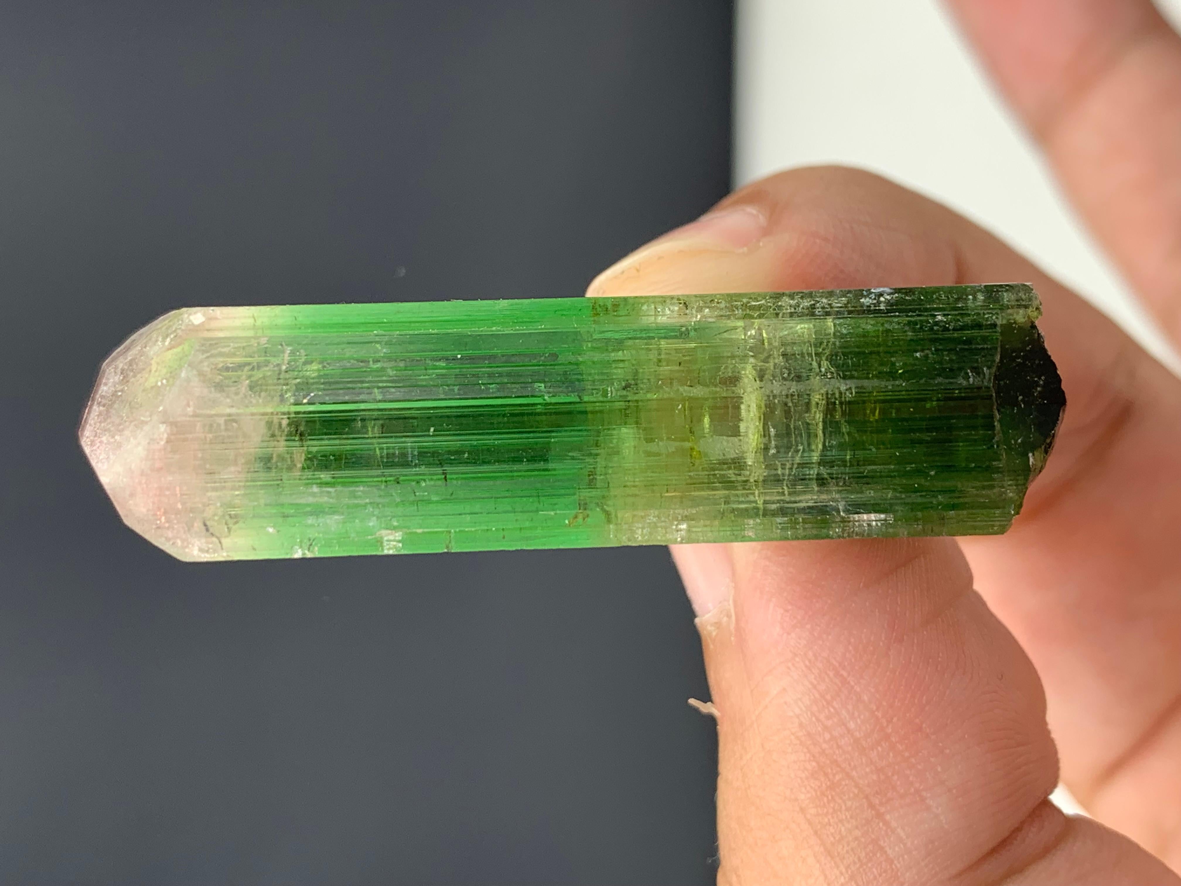 Other 17.92 Gram Incredible Bi Color Tourmaline Crystal From Paprok , Afghanistan  For Sale