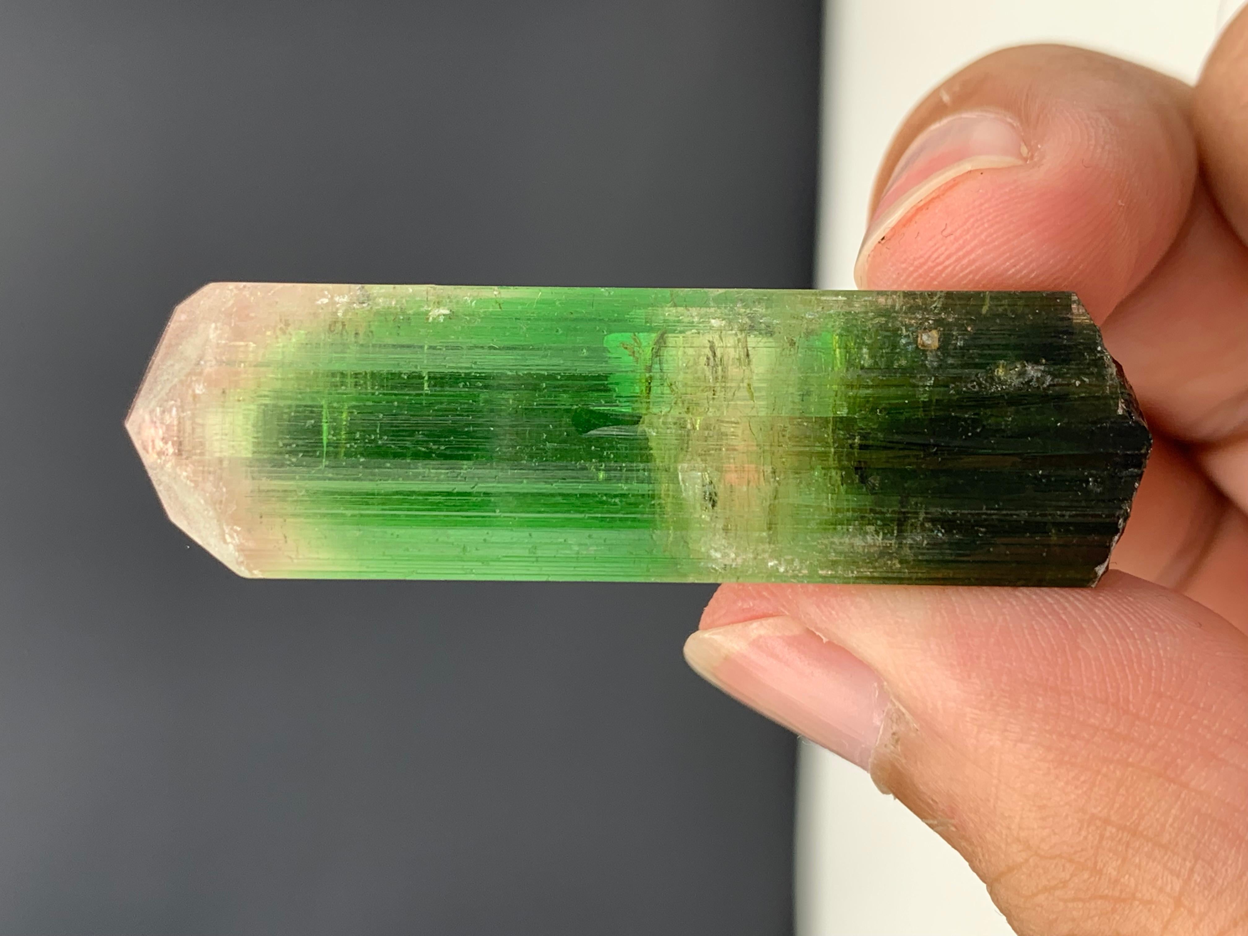 17.92 Gram Incredible Bi Color Tourmaline Crystal From Paprok , Afghanistan  In Good Condition For Sale In Peshawar, PK