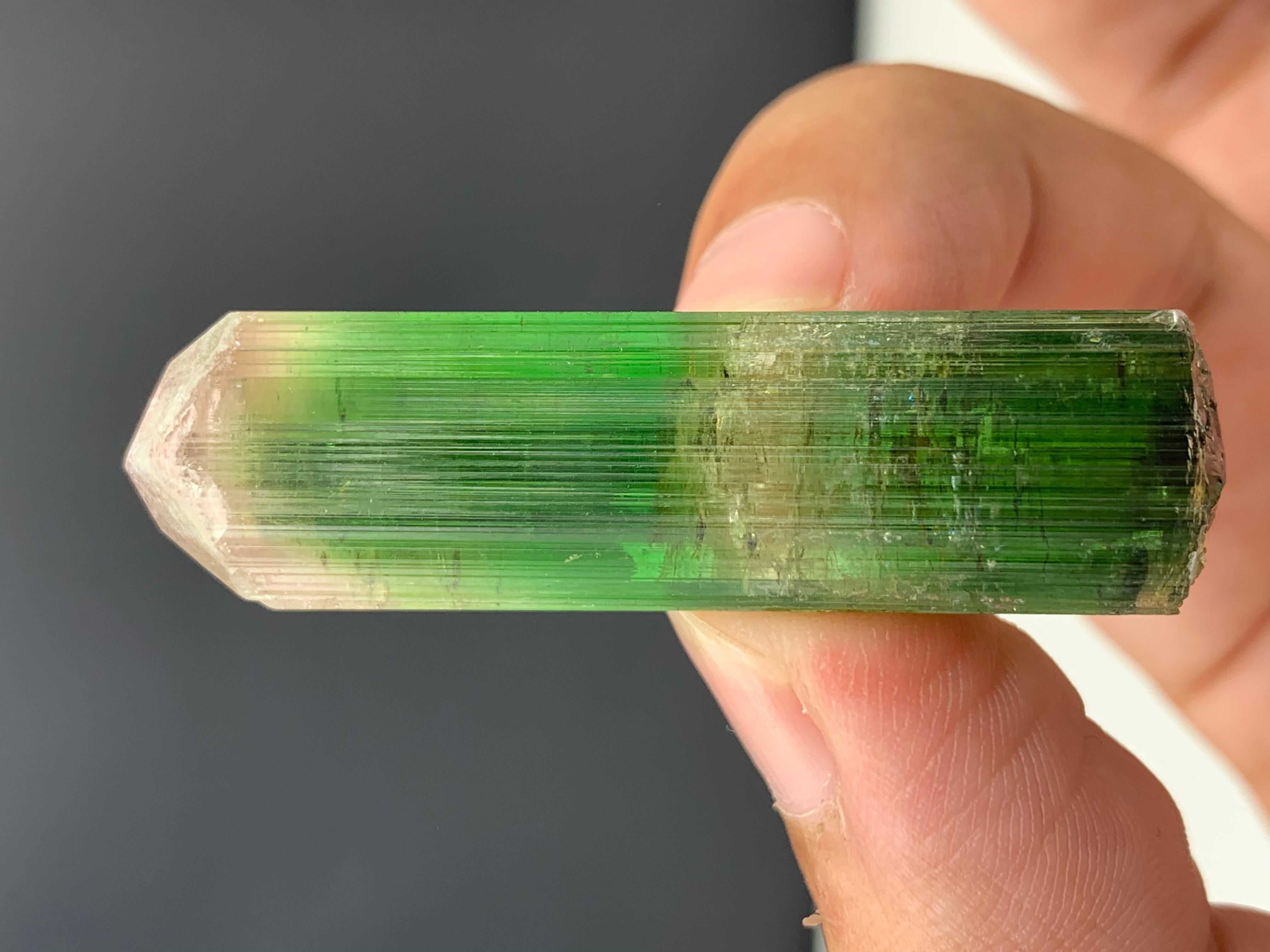 18th Century and Earlier 17.92 Gram Incredible Bi Color Tourmaline Crystal From Paprok , Afghanistan  For Sale