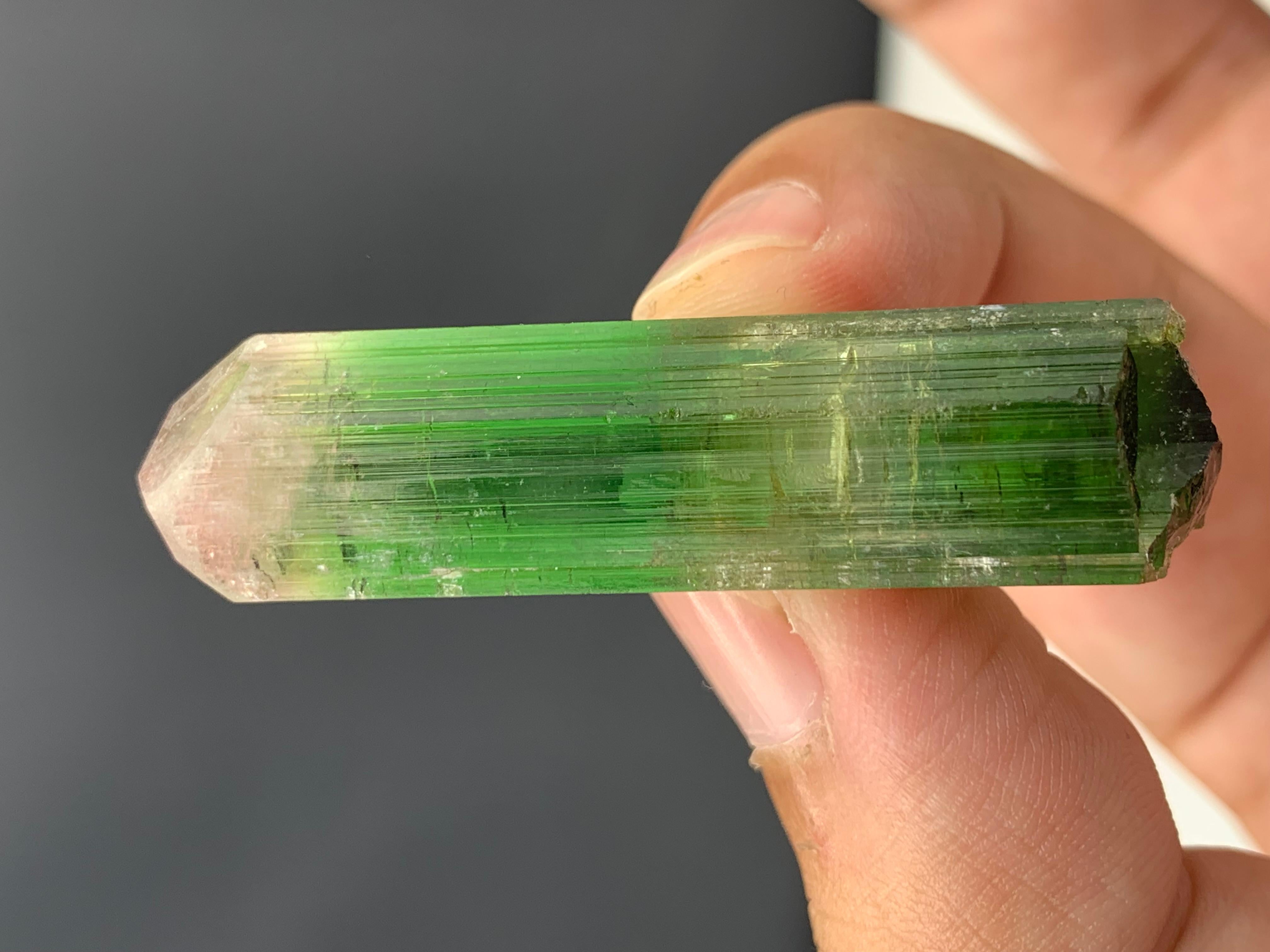Rock Crystal 17.92 Gram Incredible Bi Color Tourmaline Crystal From Paprok , Afghanistan  For Sale
