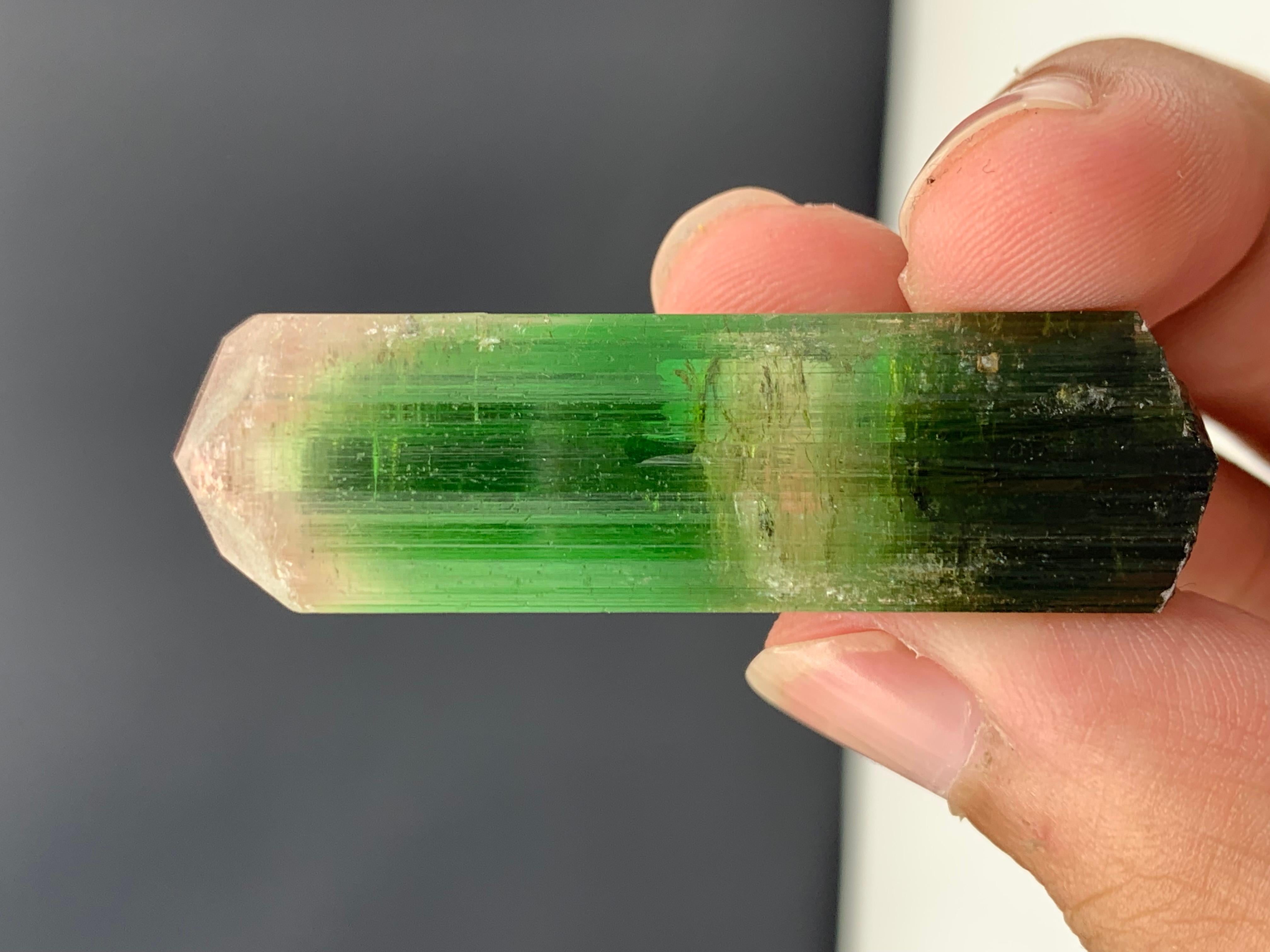17.92 Gram Incredible Bi Color Tourmaline Crystal From Paprok , Afghanistan  For Sale 1