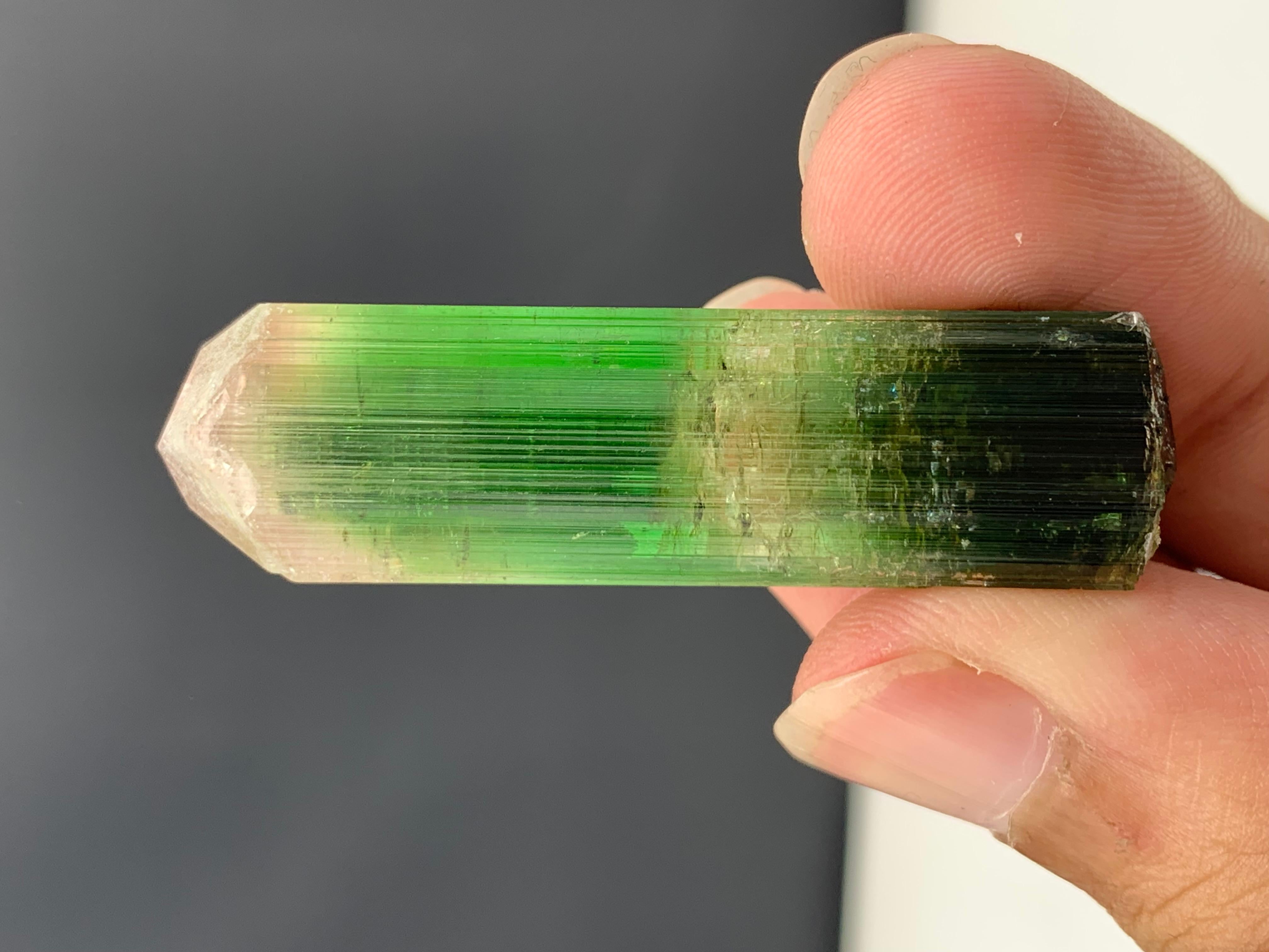 17.92 Gram Incredible Bi Color Tourmaline Crystal From Paprok , Afghanistan  For Sale 2