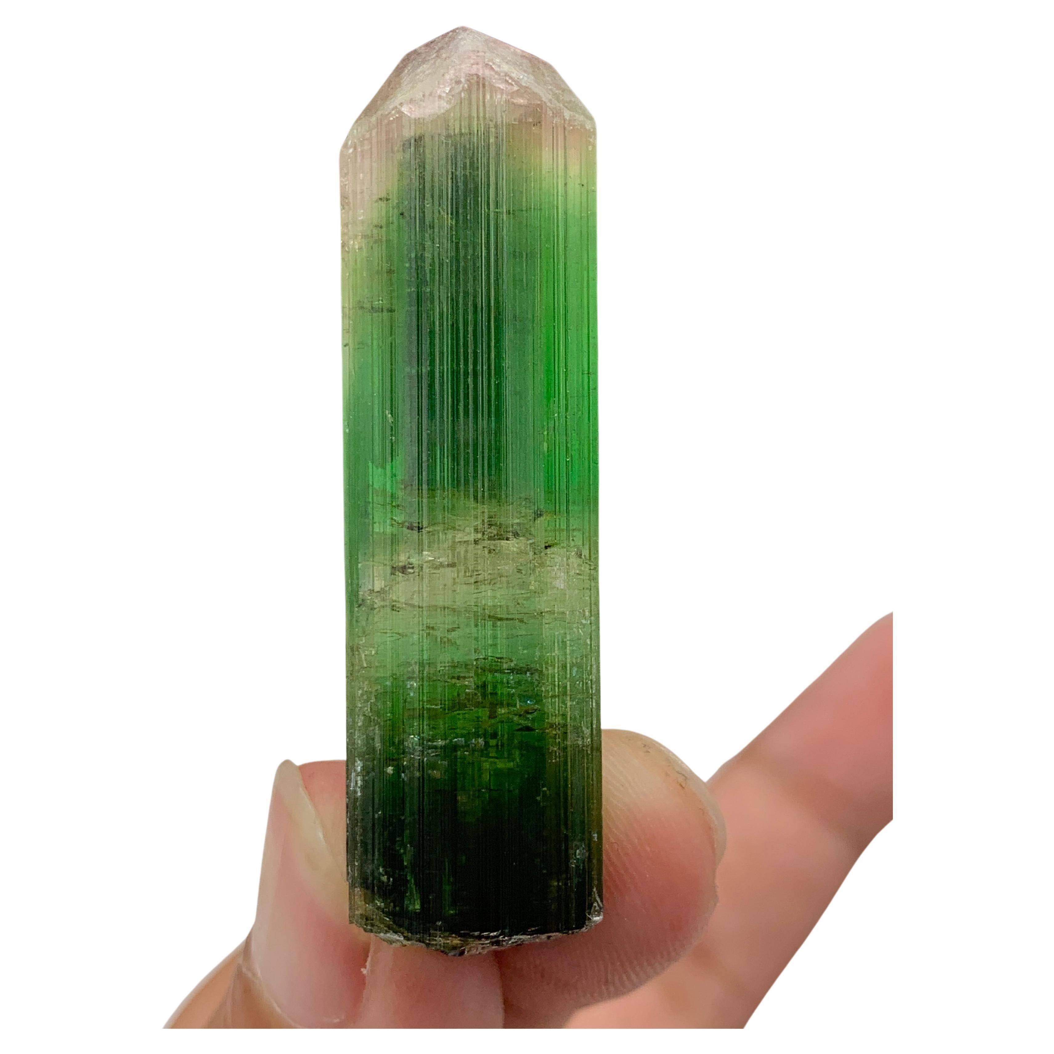 17.92 Gram Incredible Bi Color Tourmaline Crystal From Paprok , Afghanistan  For Sale
