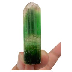 Incroyable cristal de tourmaline bicolore de 17,92 grammes provenant de Paprok, Afghanistan 