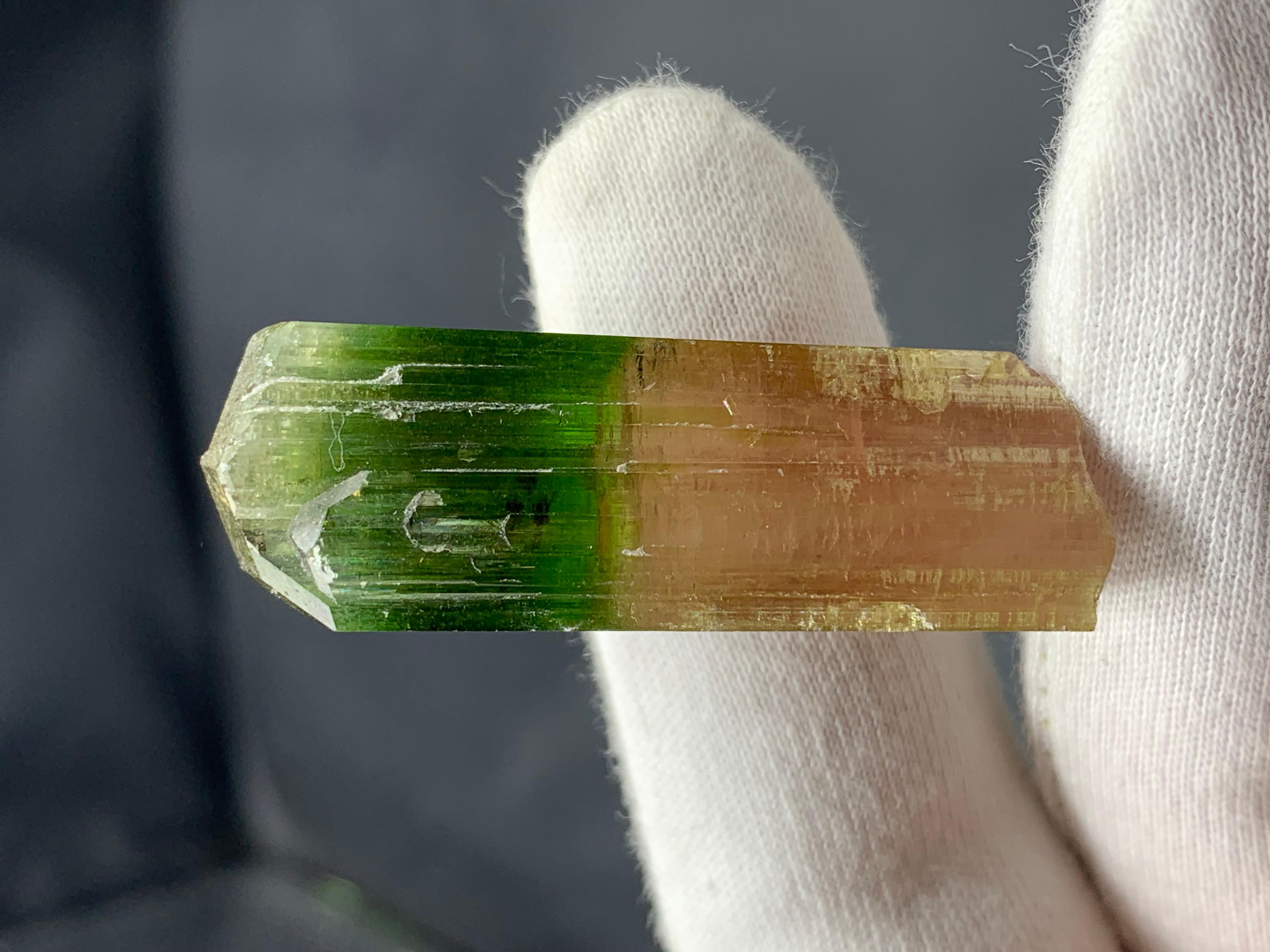 Informationen zur Produktion:

Probenart: Zweifarbiger Turmalinkristall 

Gewicht: 17,92 Gramm

Abmessungen: 4.5 x 1.5 x 1.3 Cm 

Fundort: Paprok Mine, Provinz Nuristan, Afghanistan 

Behandlung: Keine

Farbe: Grün und