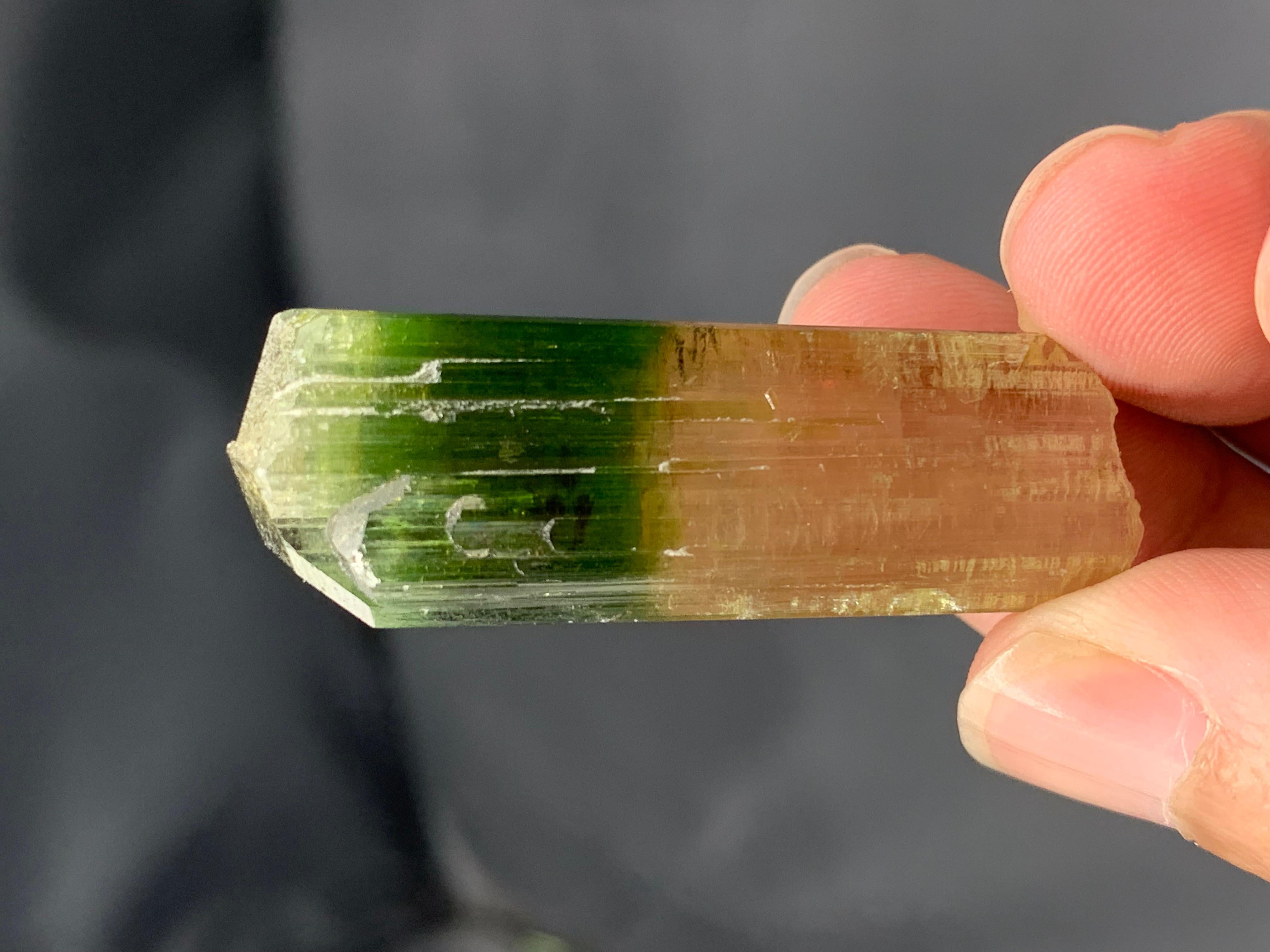17,92 Gramm farbenfroher natürlicher zweifarbiger Turmalinkristall aus Afghanistan (Asiatisch) im Angebot