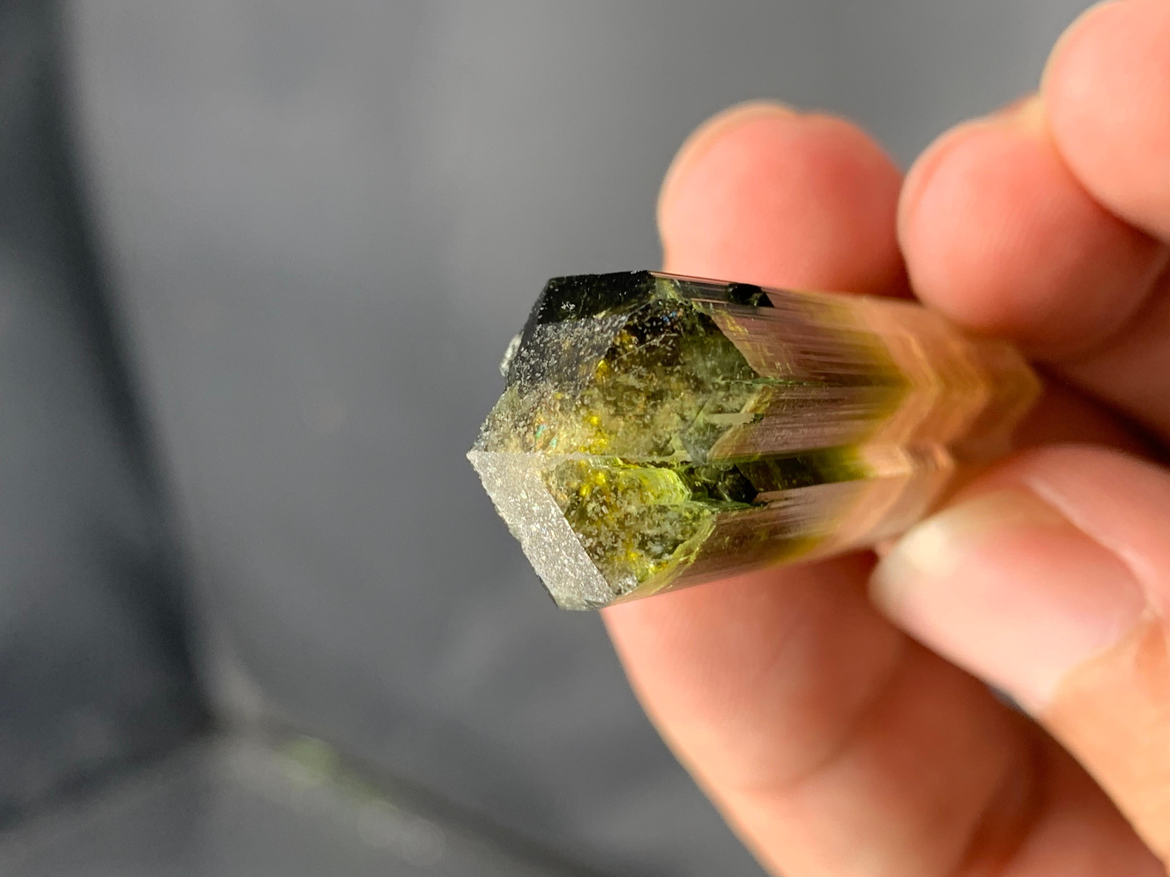 17,92 Gramm farbenfroher natürlicher zweifarbiger Turmalinkristall aus Afghanistan im Angebot 1